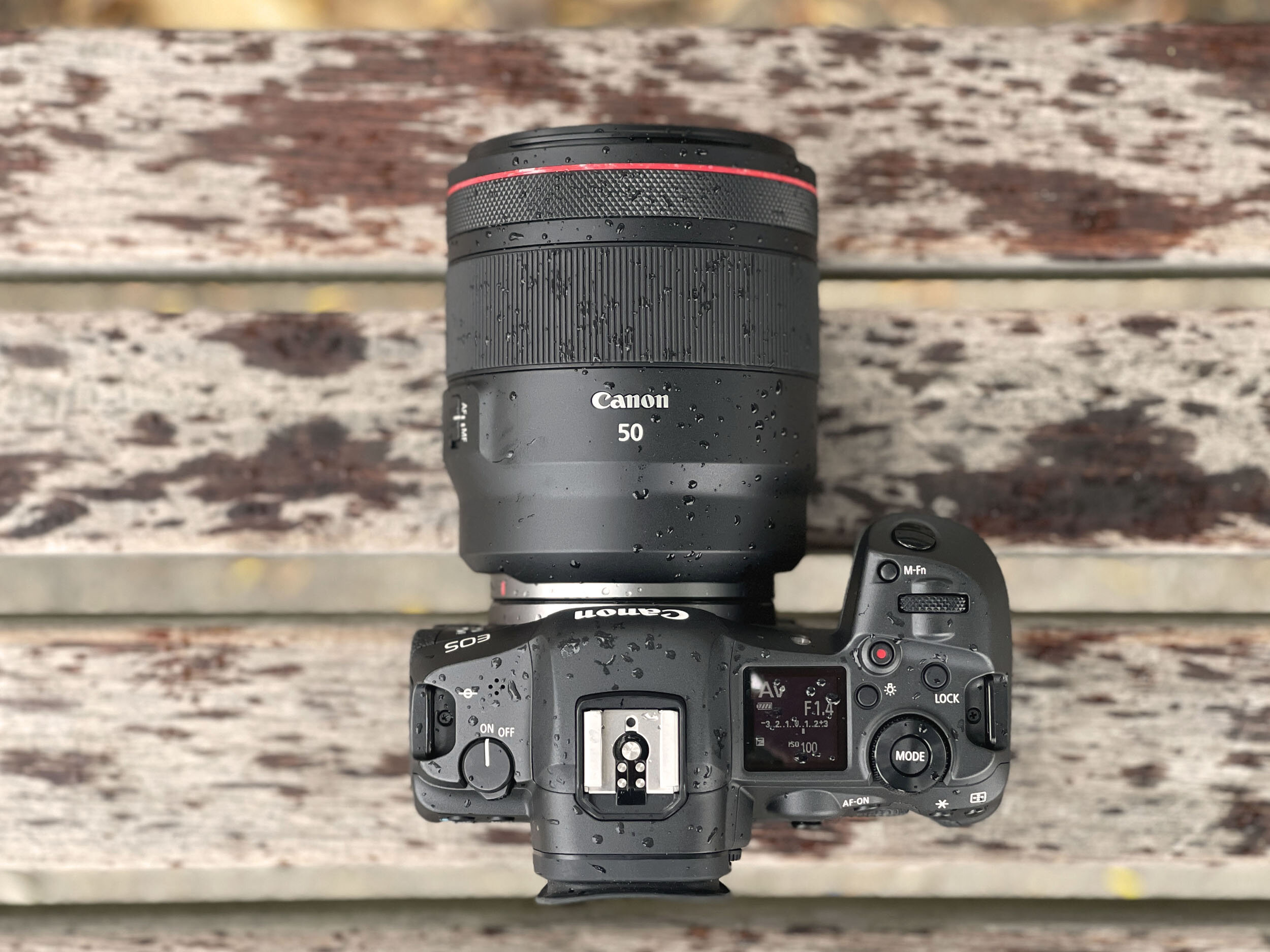 ontbijt officieel Theseus Canon RF 50mm f/1.2L USM Review | 5050 Travelog