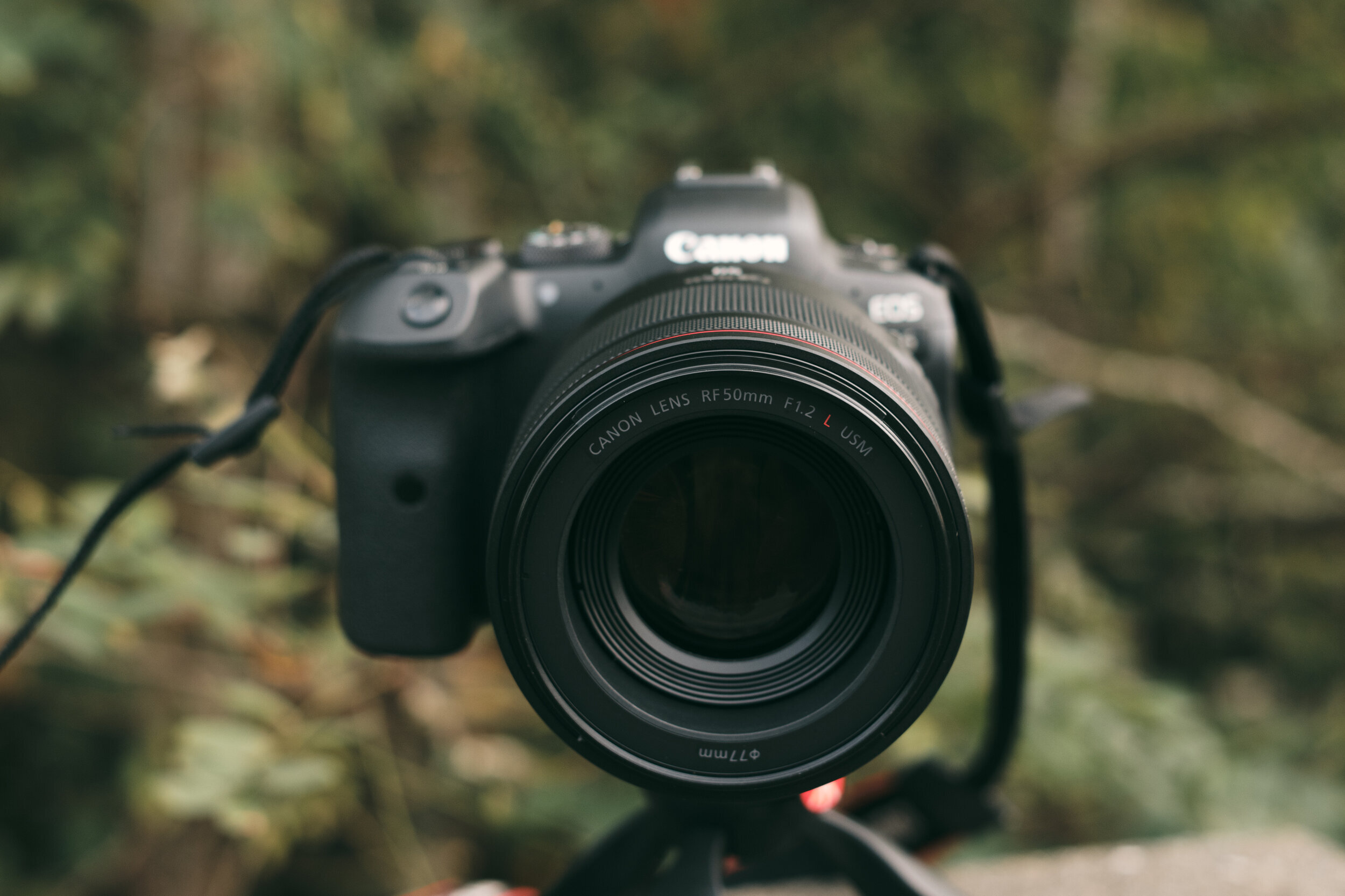 Canon RF 50mm f/1.2L USM Review | 5050 Travelog