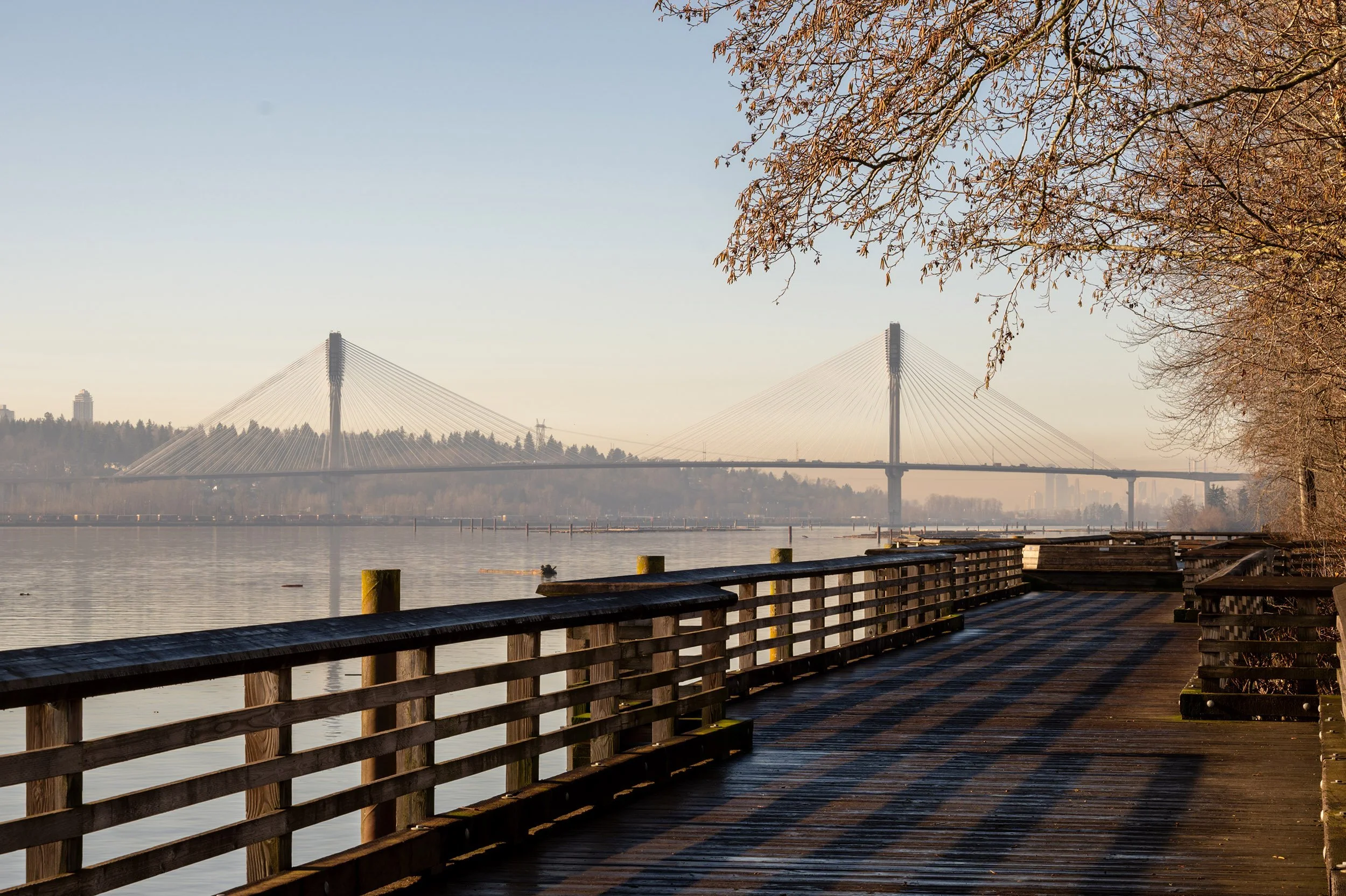 Port Mann Bridge and Fraser River. Tree and reflection, Coquitlam River. Sample image from a Viltrox 56mm f/1.2 Z (Nikon Z-Mount) and Nikon Z8.