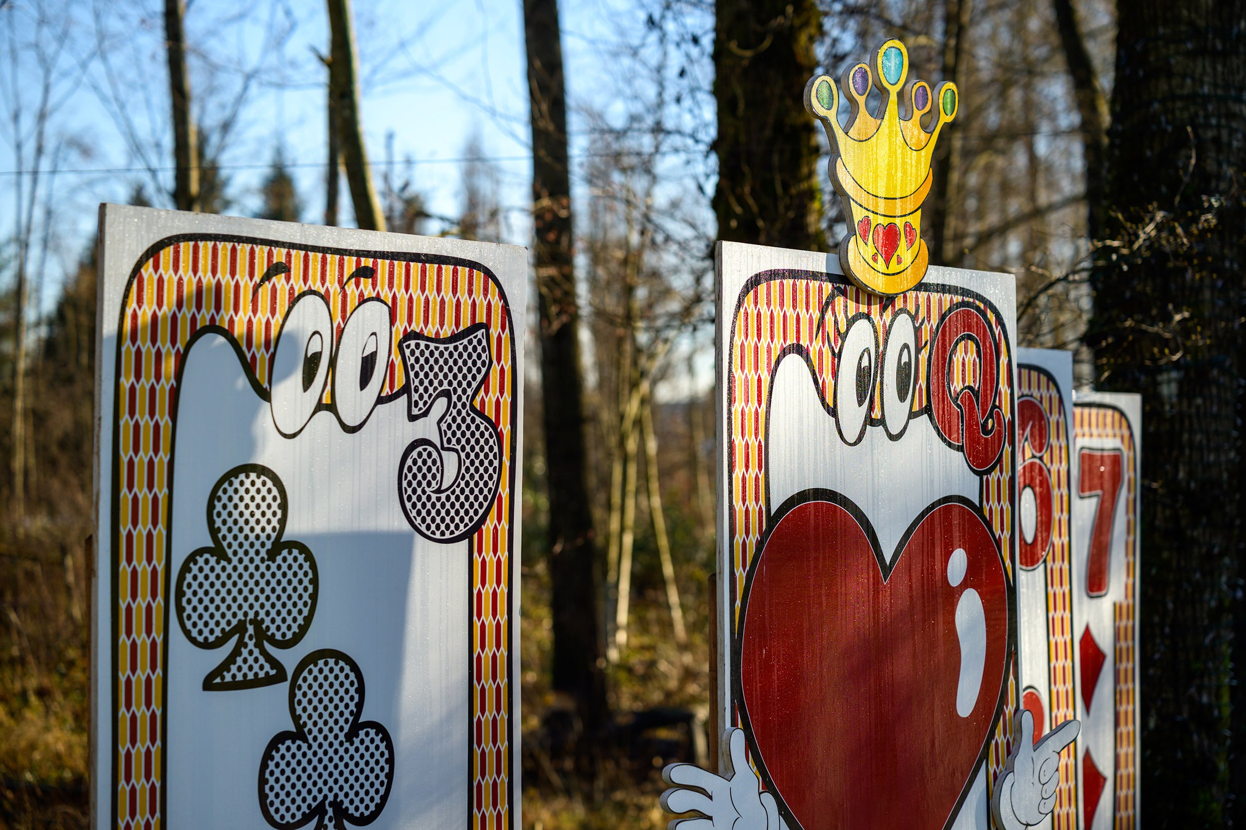 Large card game in Coquitlam. Tree and reflection, Coquitlam River. Sample image from a Viltrox 56mm f/1.2 Z (Nikon Z-Mount) and Nikon Z8.