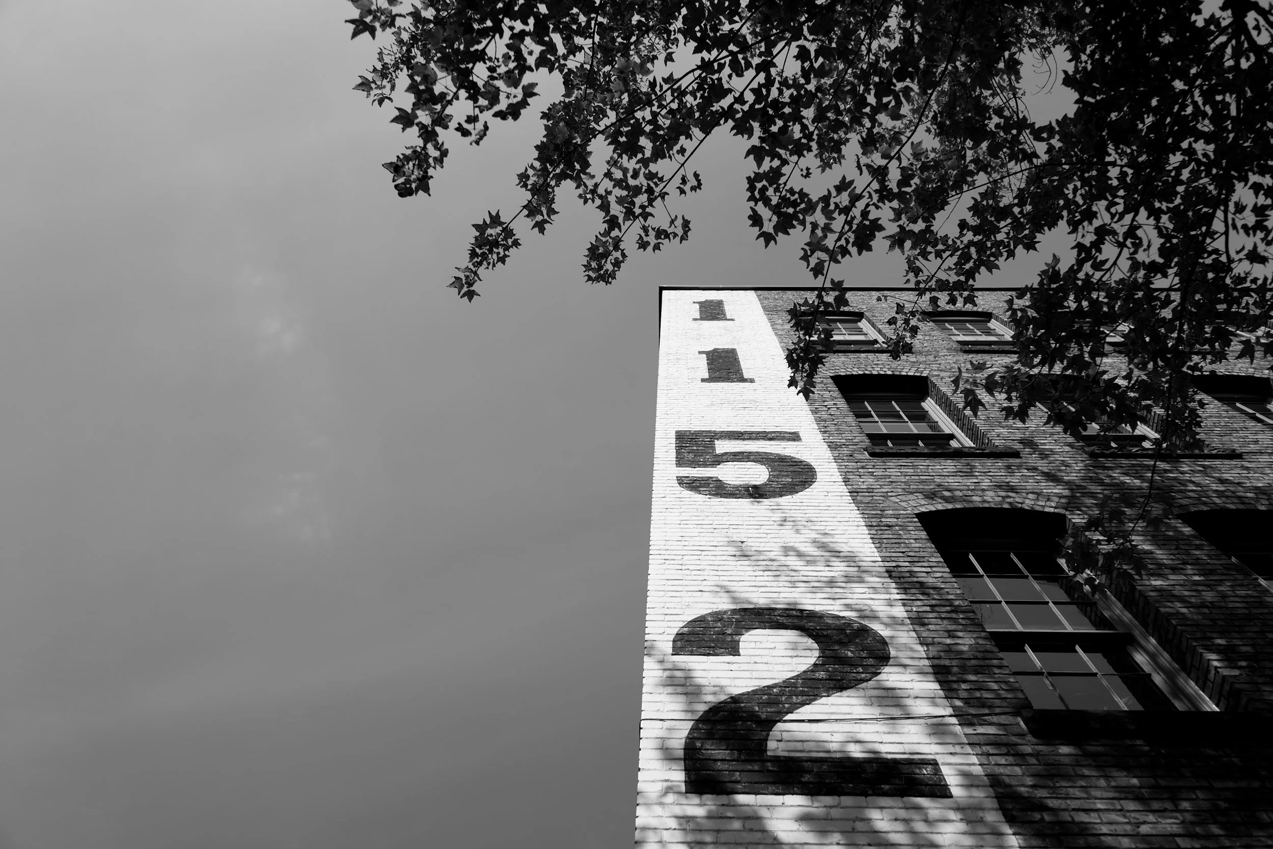 365-Day Project 2025, Day 219