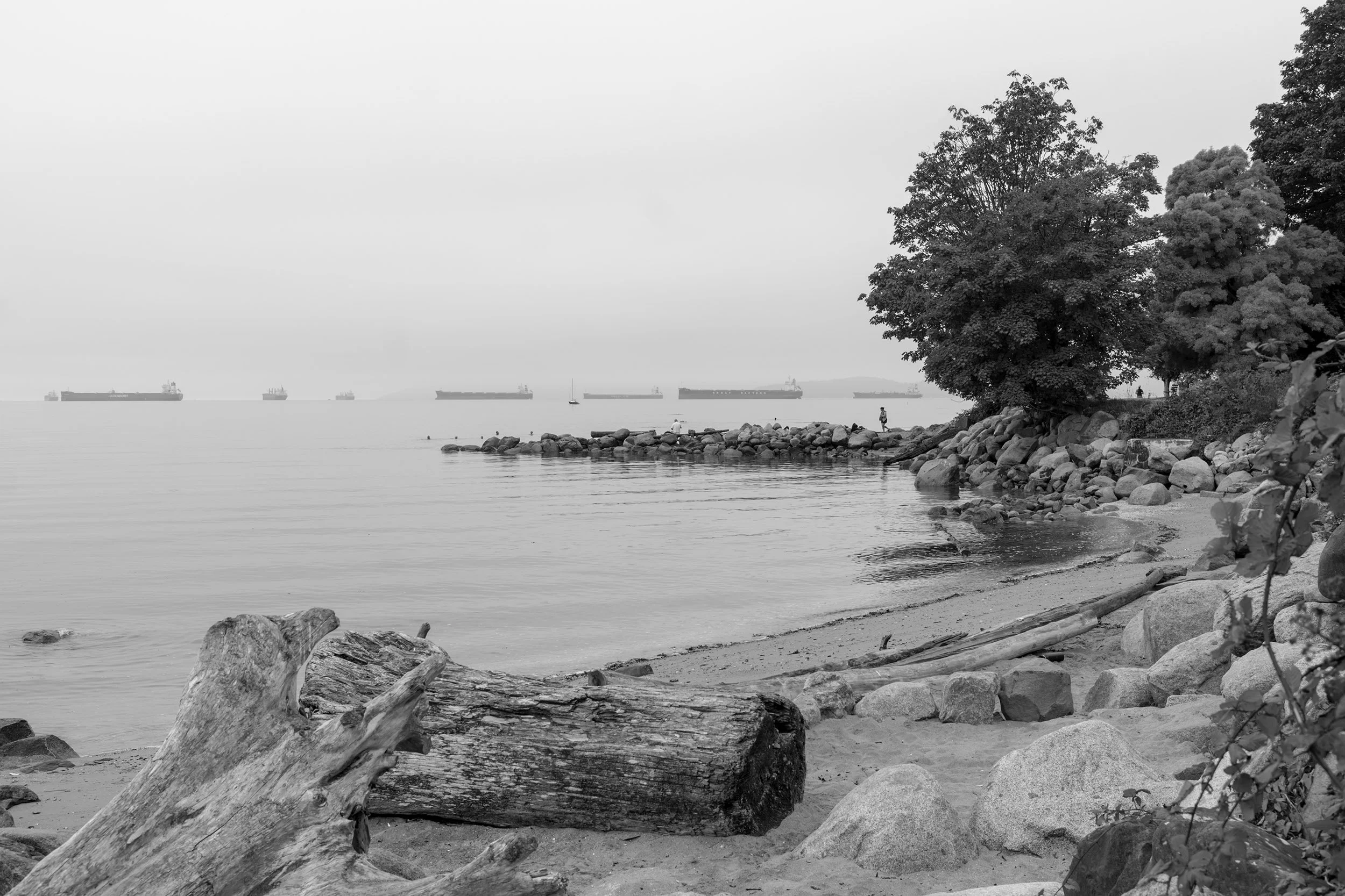 365-Day Project 2025, Day 255