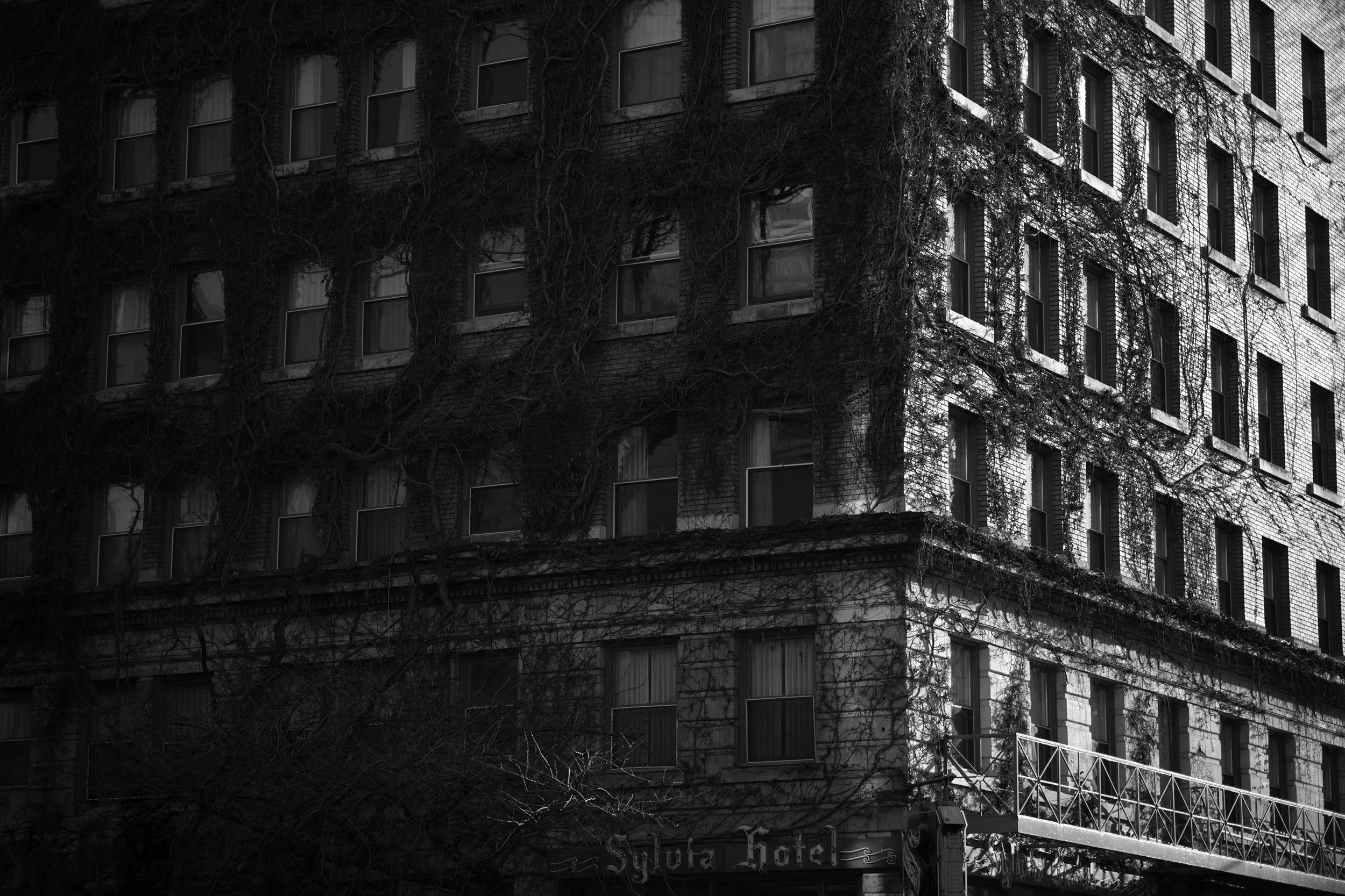 365-Day Project 2025, Day 341