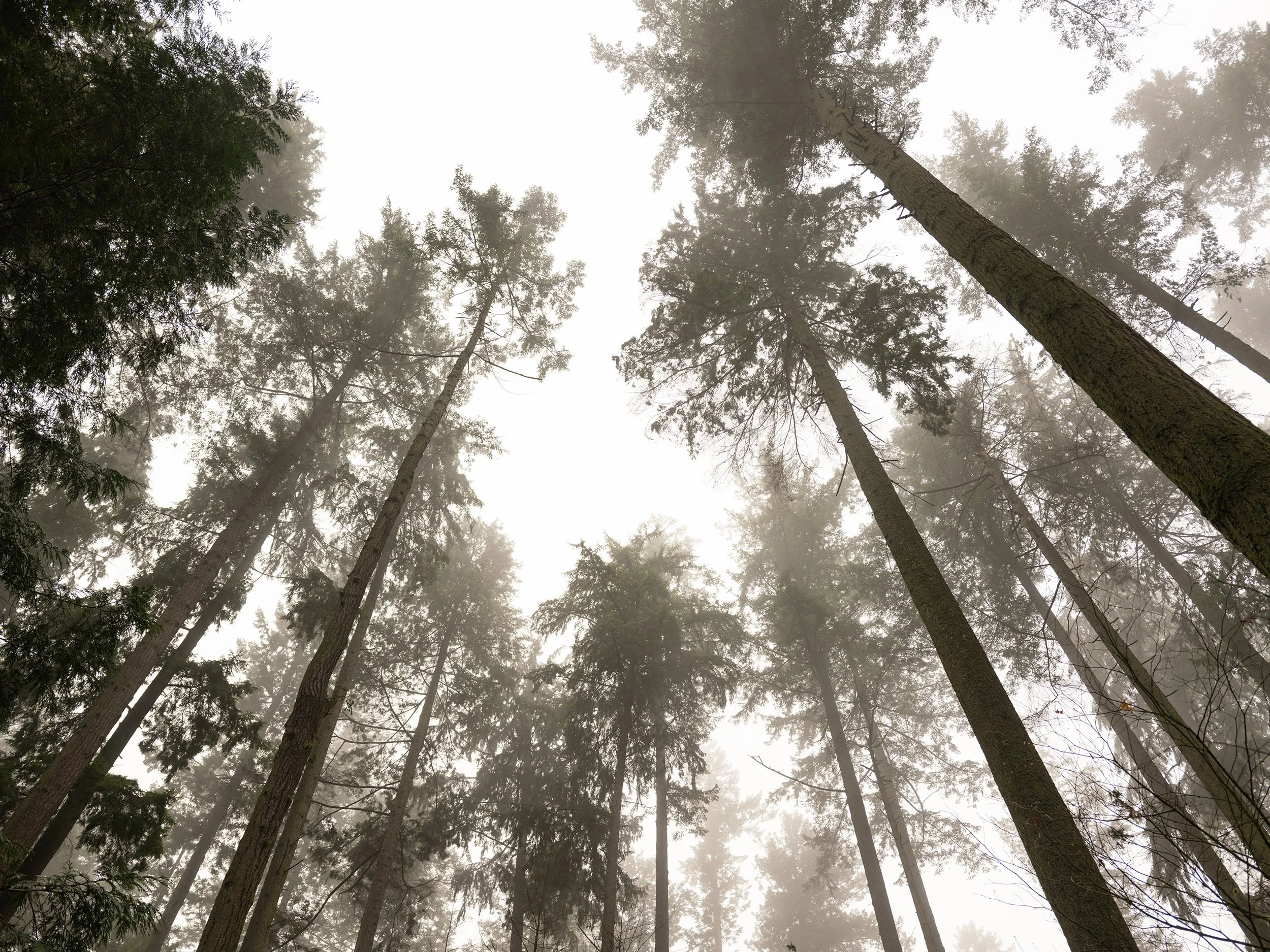 Photo of the Day - 368