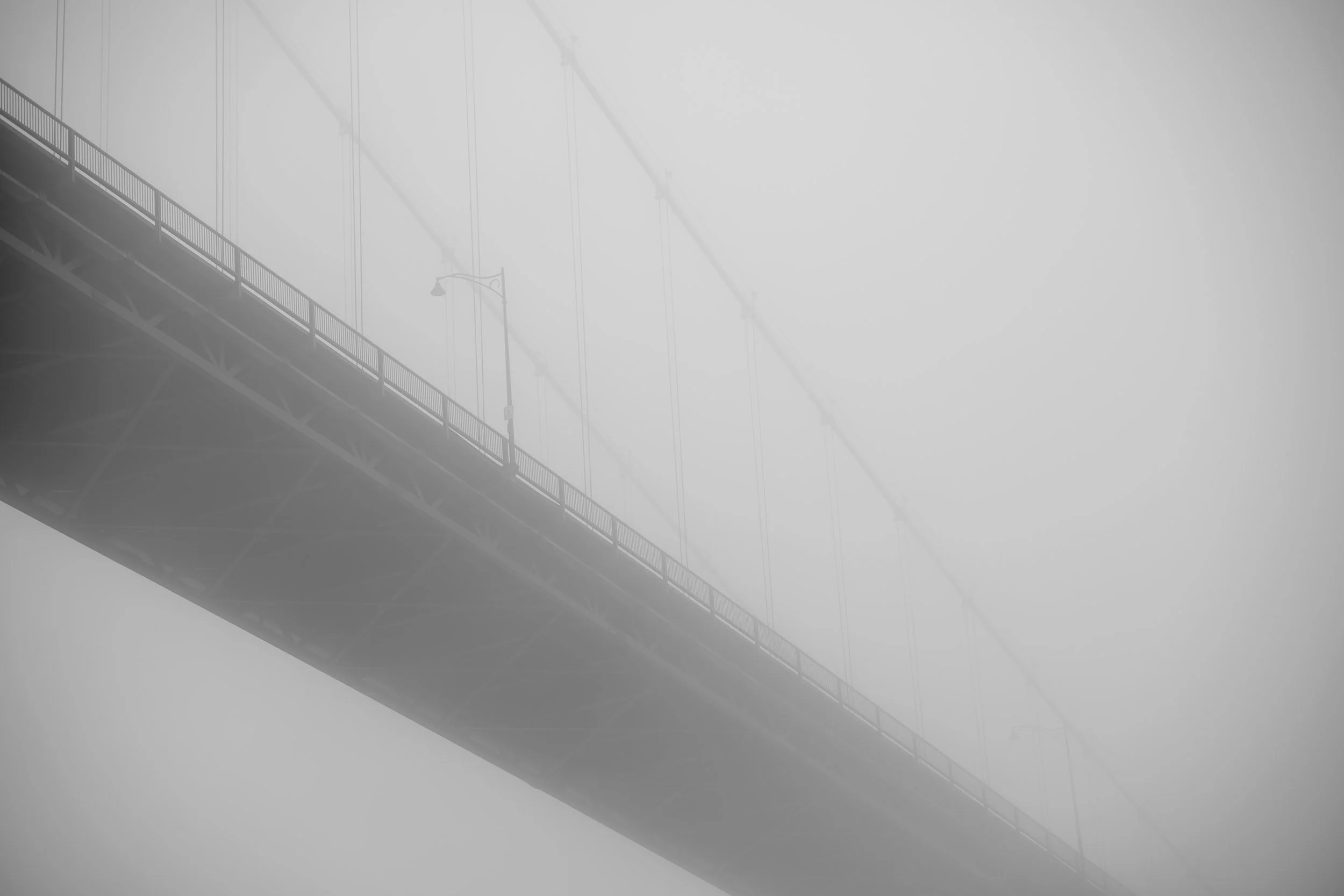 Photo of the Day - 376