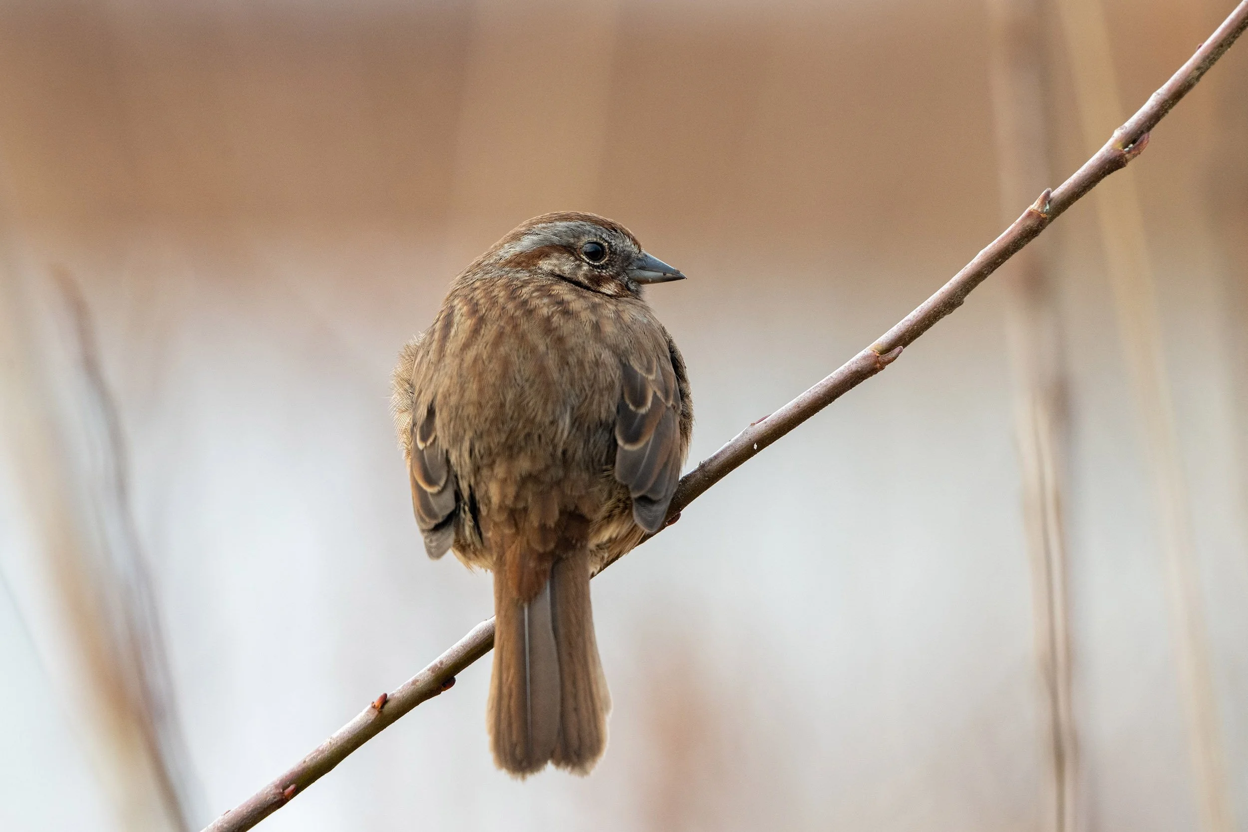 Photo of the Day - 391