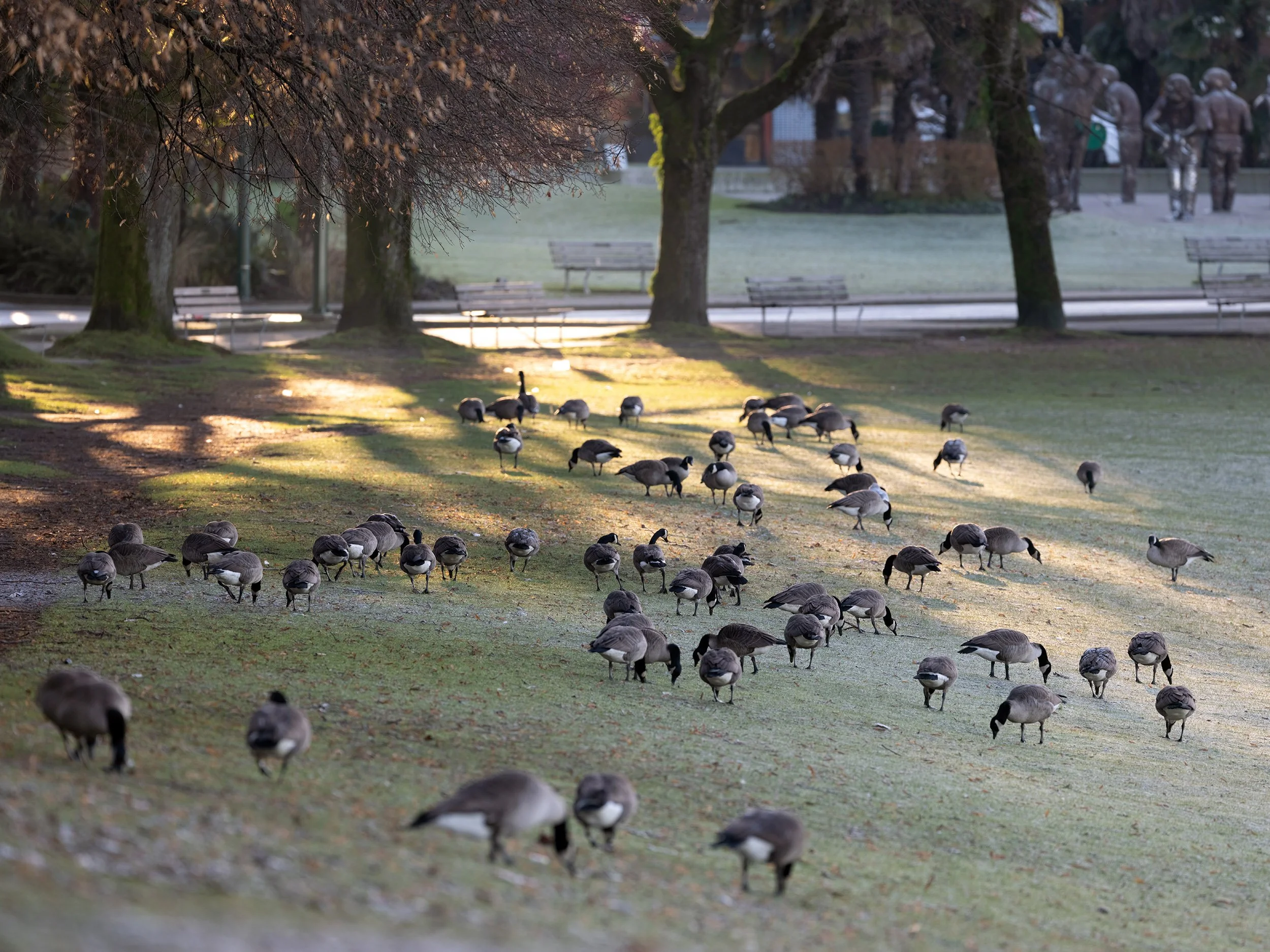 Photo of the Day - 392