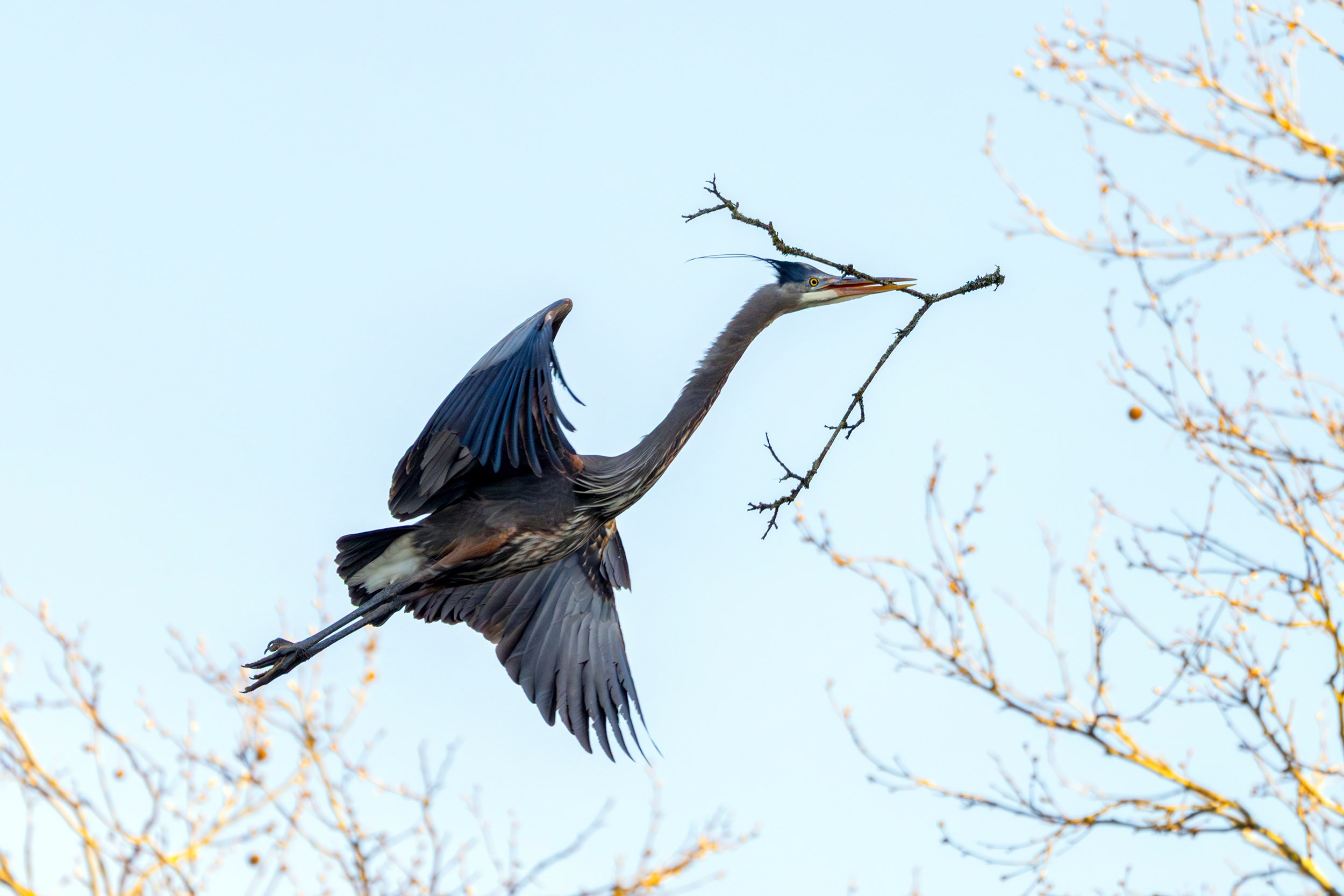 Photo of the Day - 464