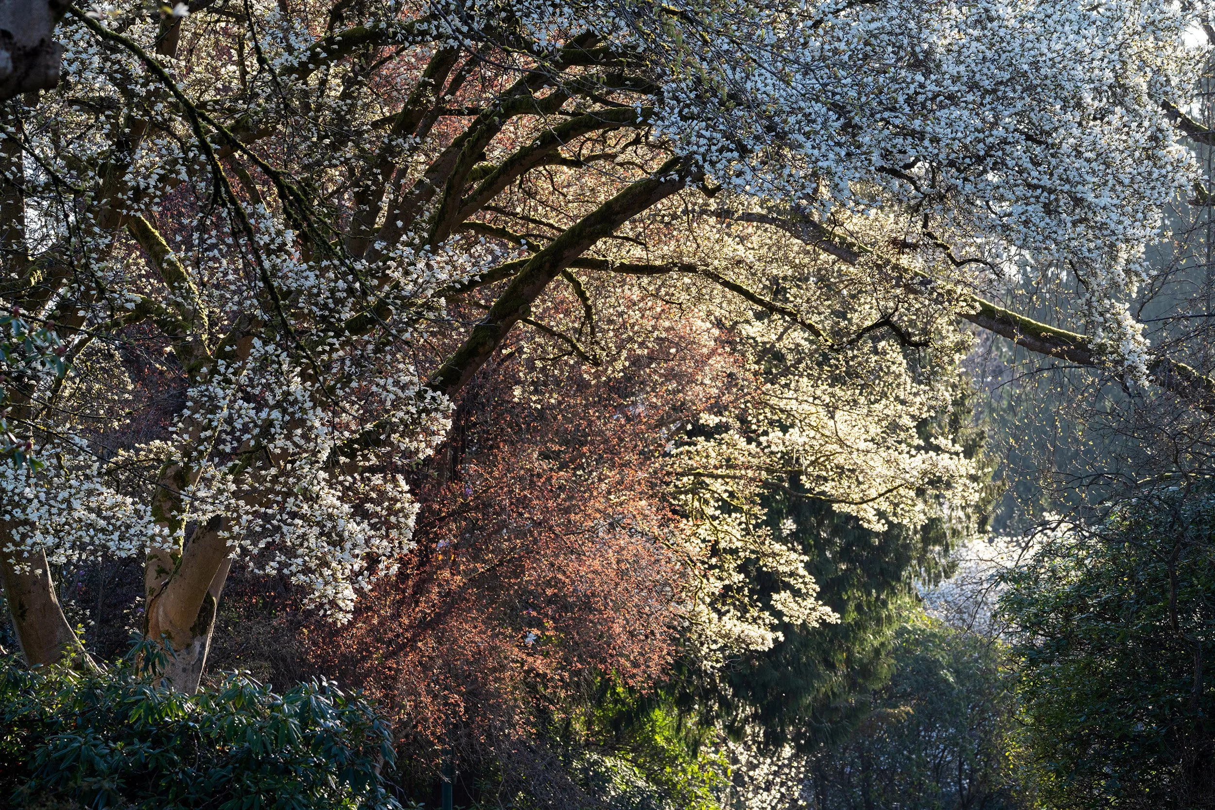 Photo of the Day - 466