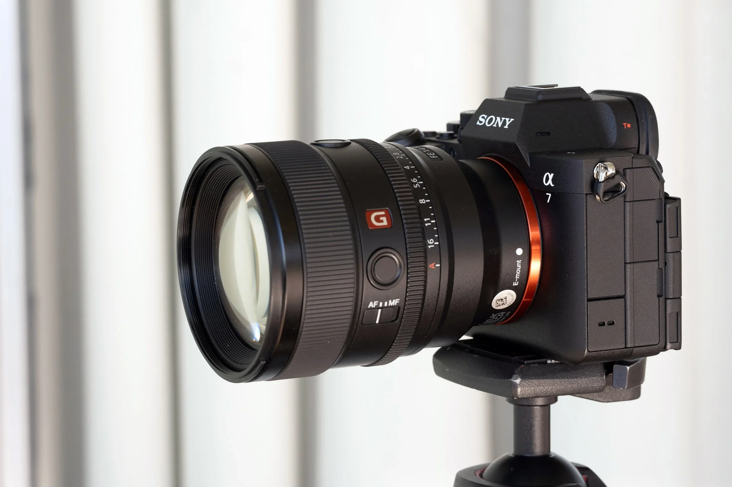 Sony A7 V - First Impressions Review