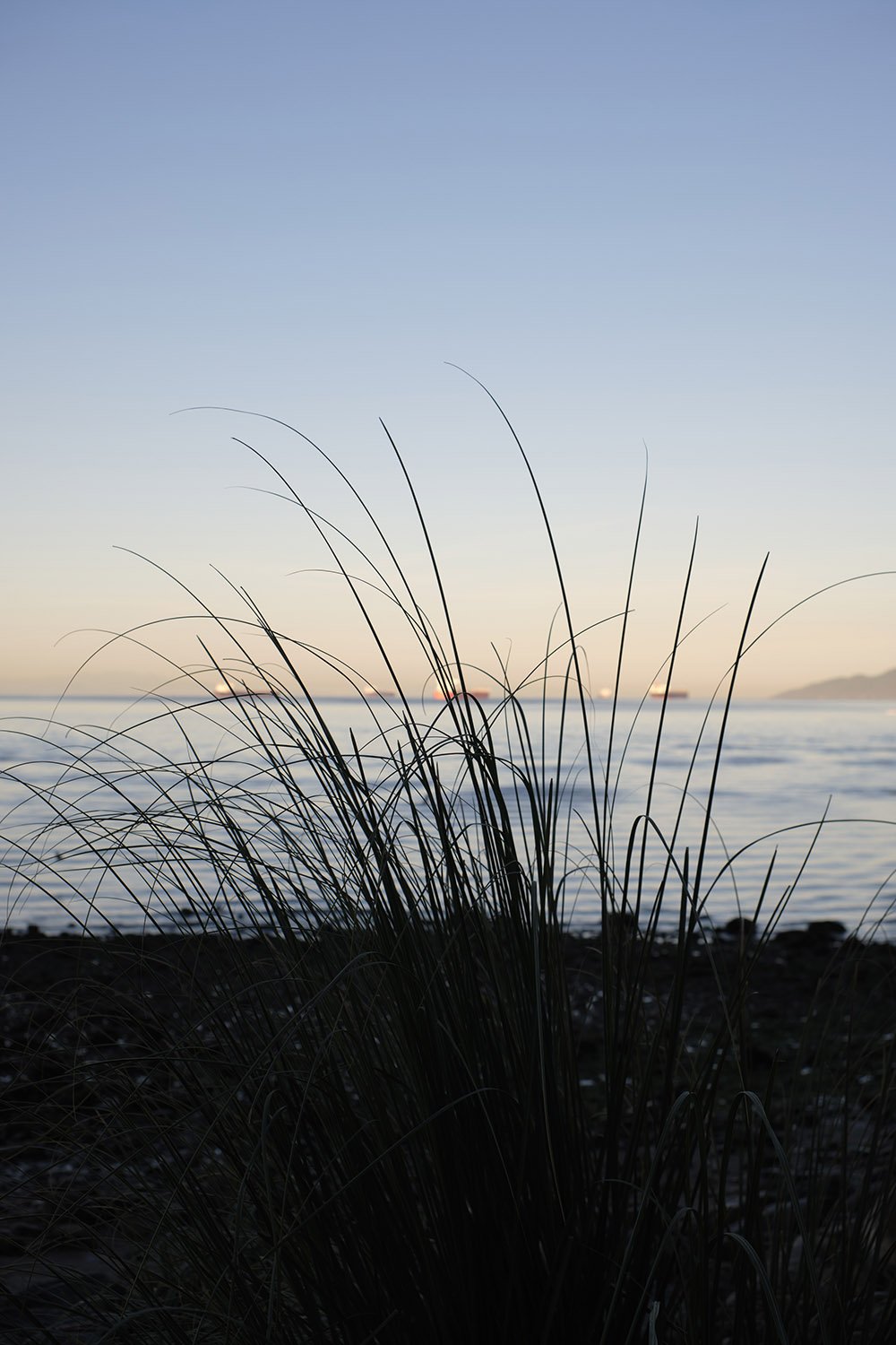 Evening at English Bay Beach. Sample image from a TTArtisan AF 35mm f/1.8.