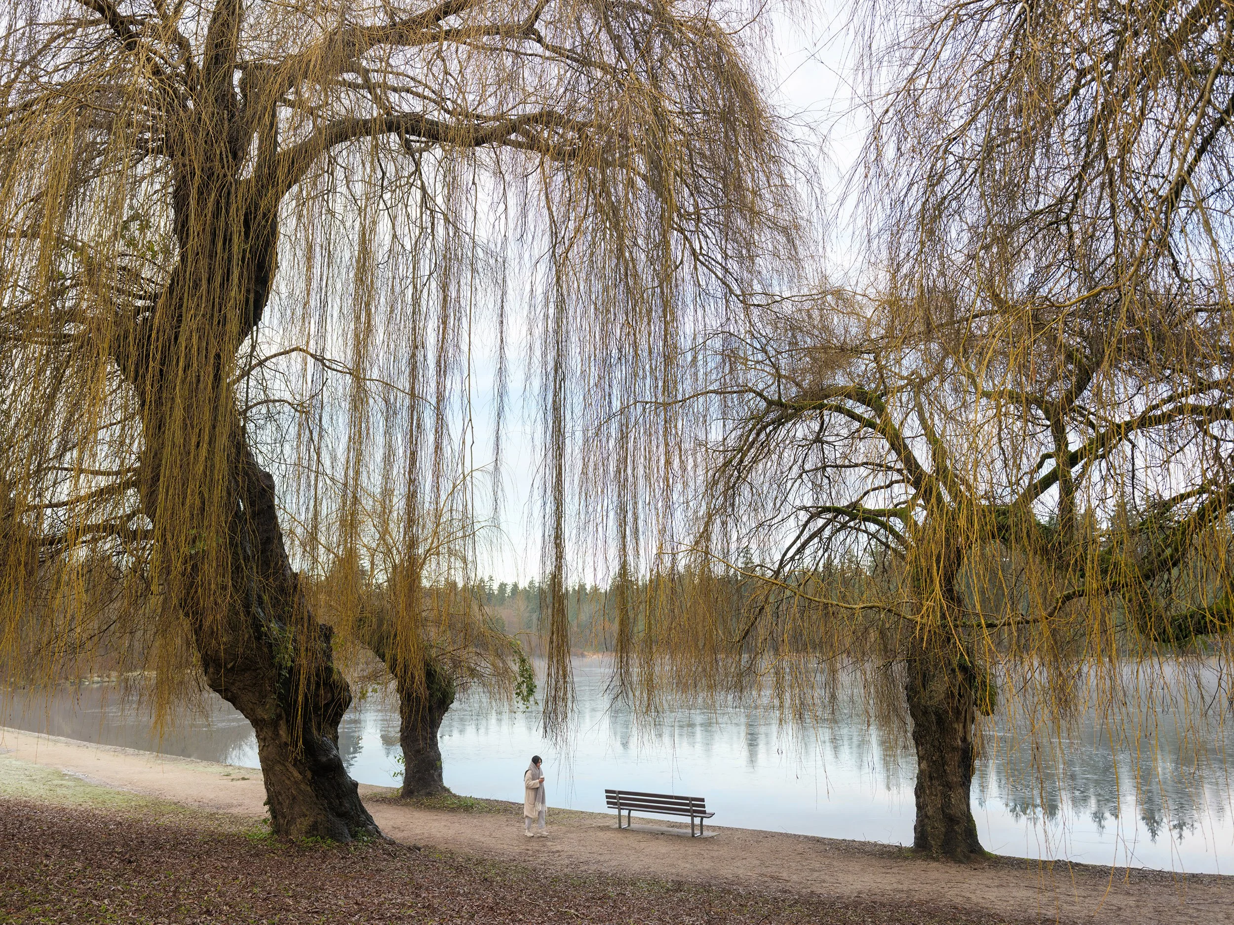 A woman walks along lost lagoon in Vancouver on Christmas day 2025