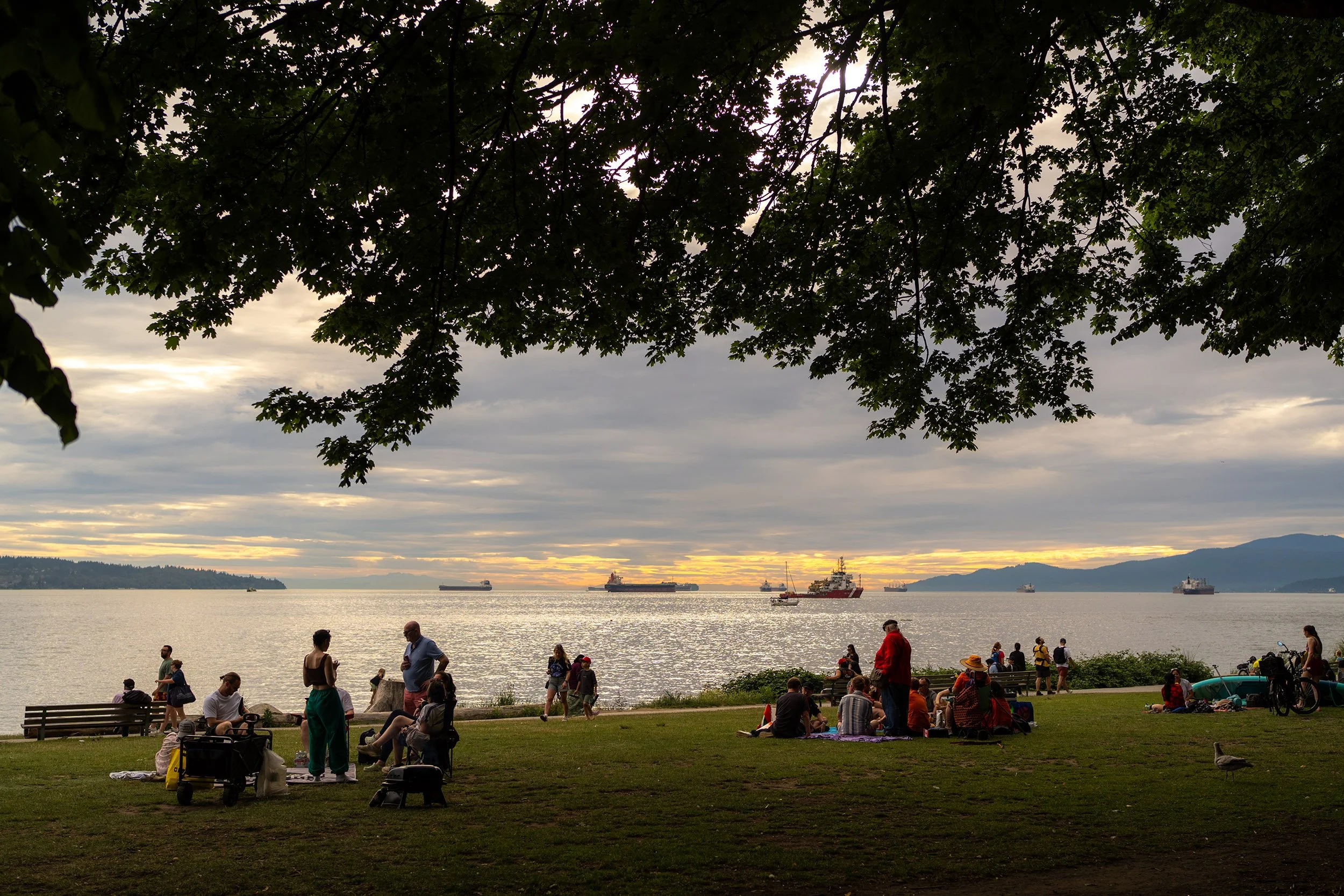 Summer evening at English Bay in Vancouver. Sample image from a Sony FE 40mm f/2.5 G and Sony A7 V.