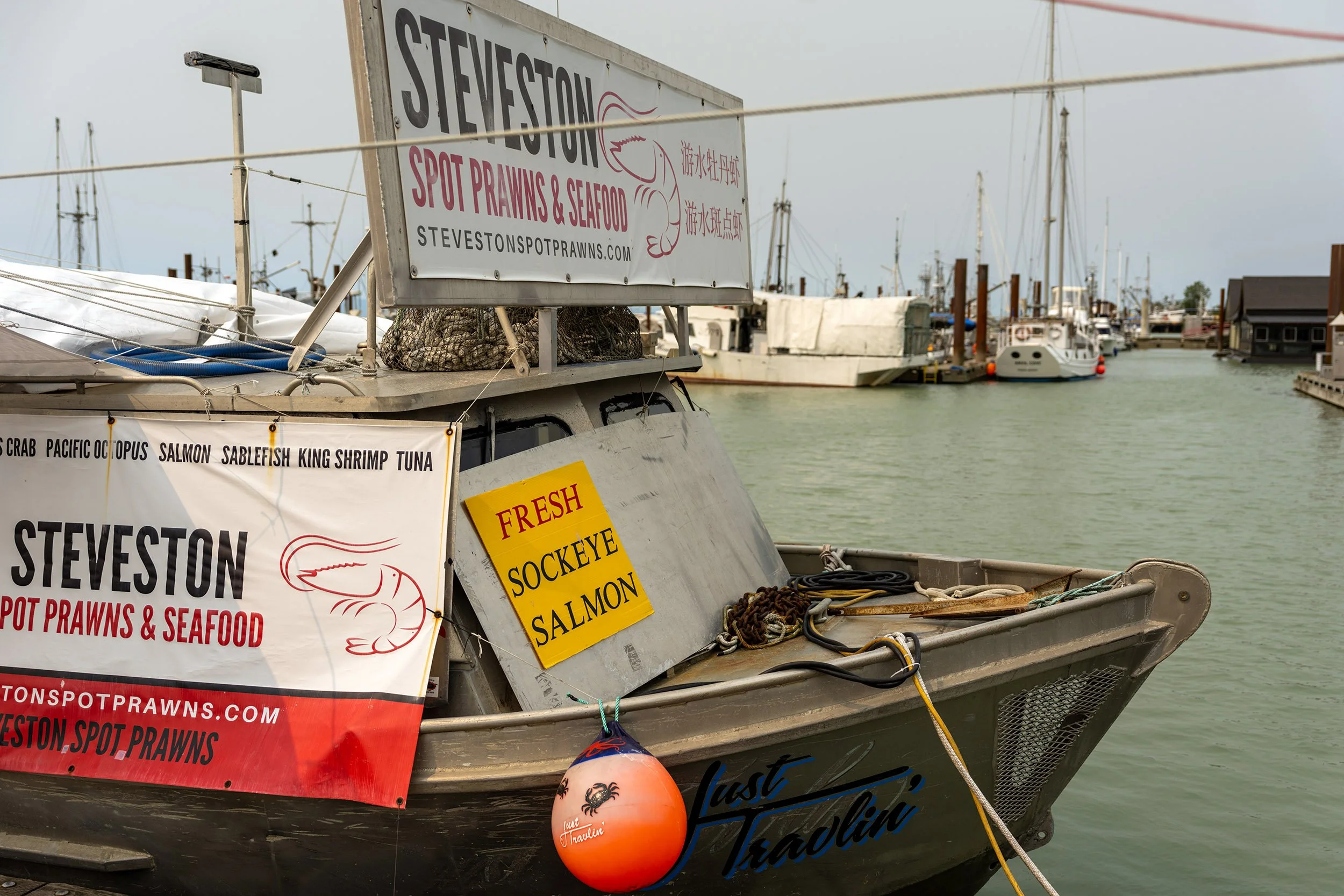Fresh Sockeye salmon in Steveston. Sample image from a Sony A7R VI and Sony FE 24-70mm f/2.8 GM II