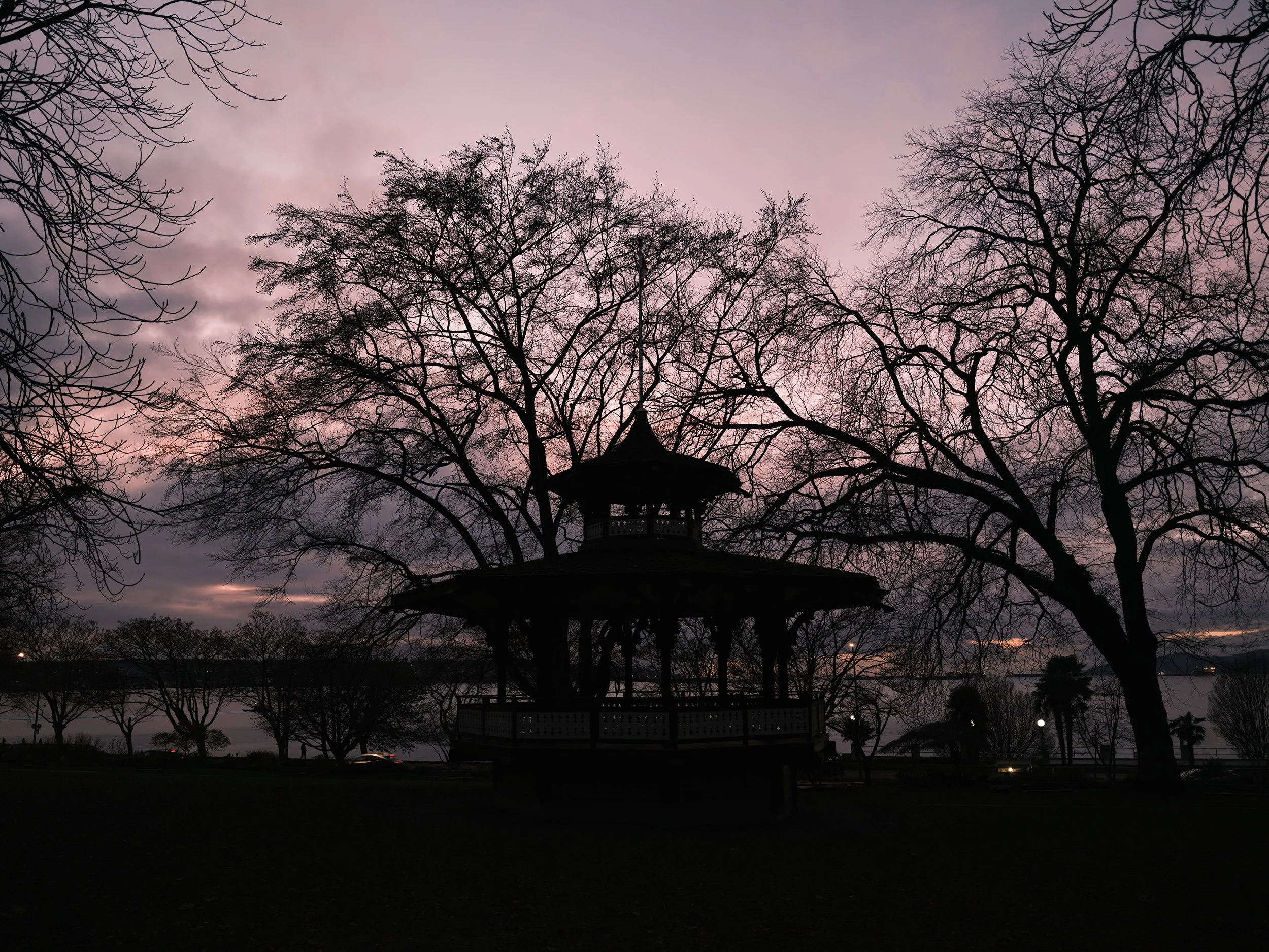 Alexandra Park at dusk in Vancouver. Sample photo from a Fujifilm GFX 100RF.