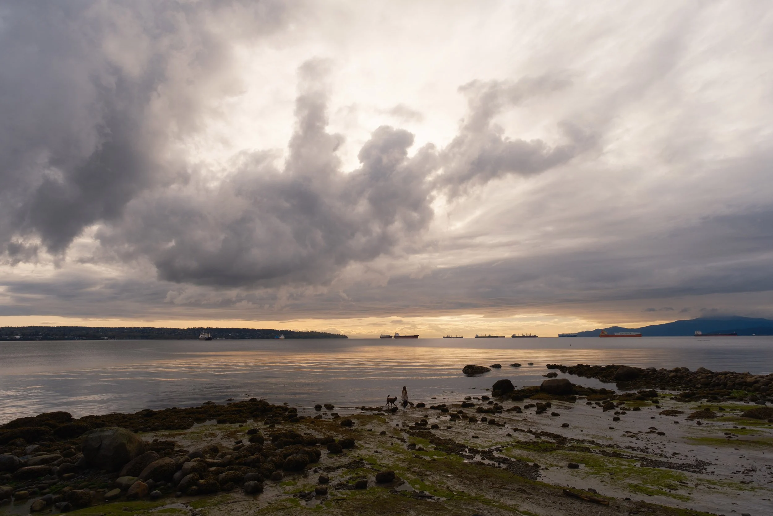 A woman walks her dog along English Bay in Vancouver. Sample image from a Sigma 15mm f/1.4 DC Contemporary and Fujifilm X-E5.