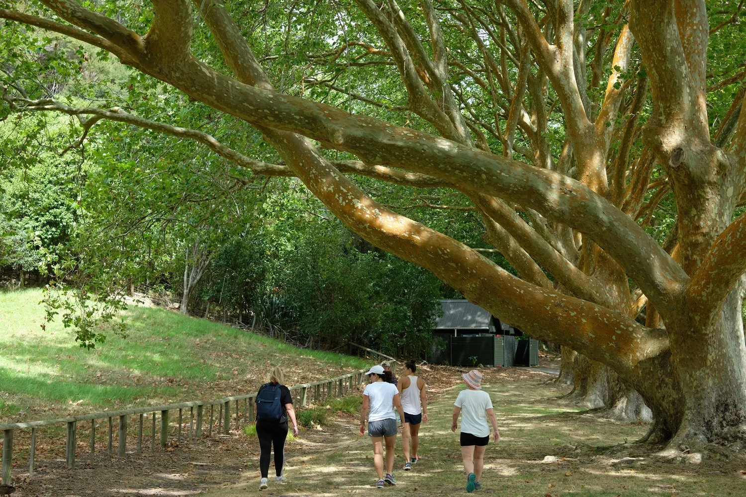 Wenderholm Regional Park Hike 5050 Travelog