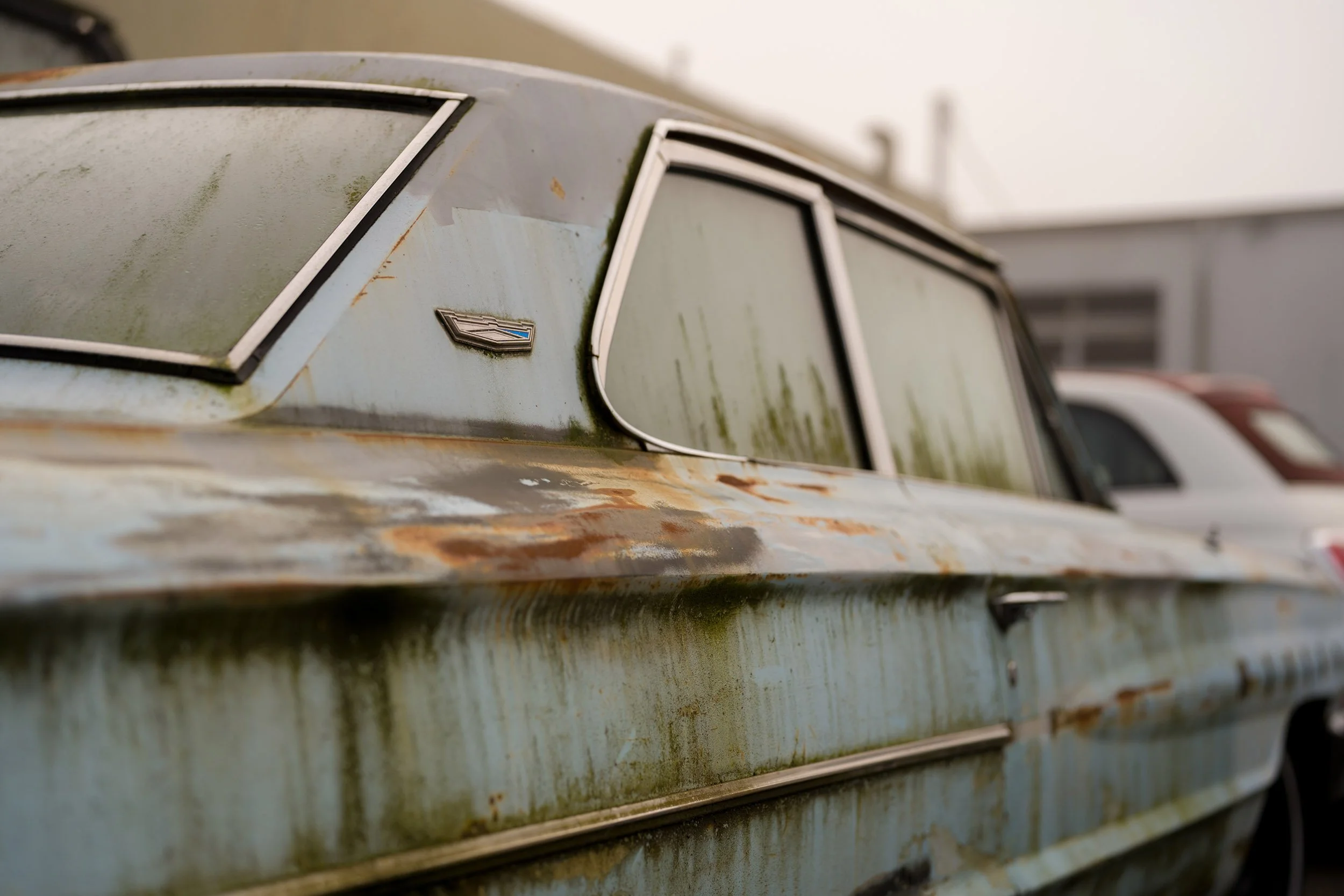 An old Ford. Sample image from a Sony A7 V and Sony FE 50mm f/1.4 GM.