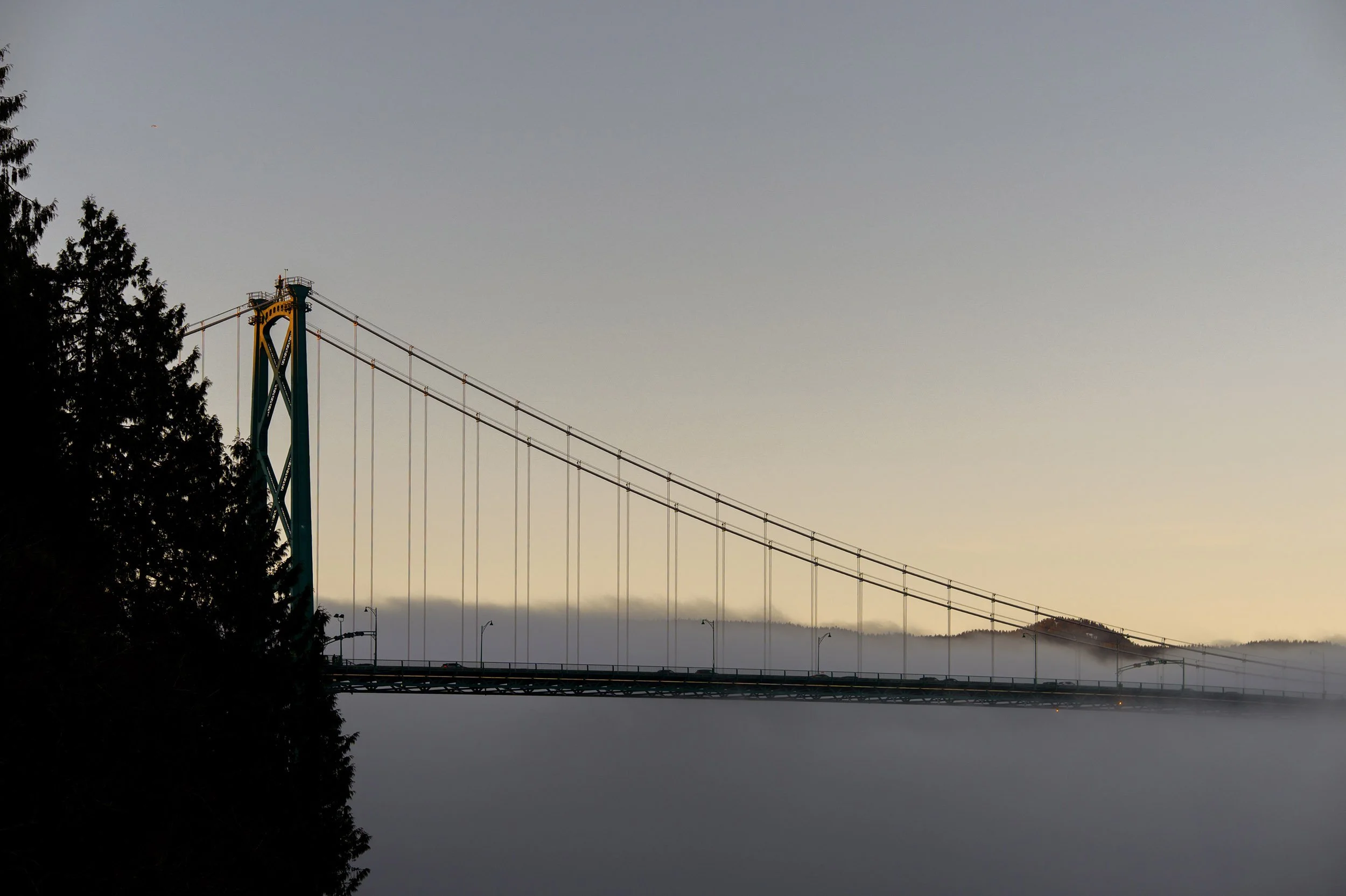 Fog at Lions Gate Bridge in Vancouver. Tree and reflection, Coquitlam River. Sample image from a Viltrox 56mm f/1.2 Z (Nikon Z-Mount) and Nikon Z8.