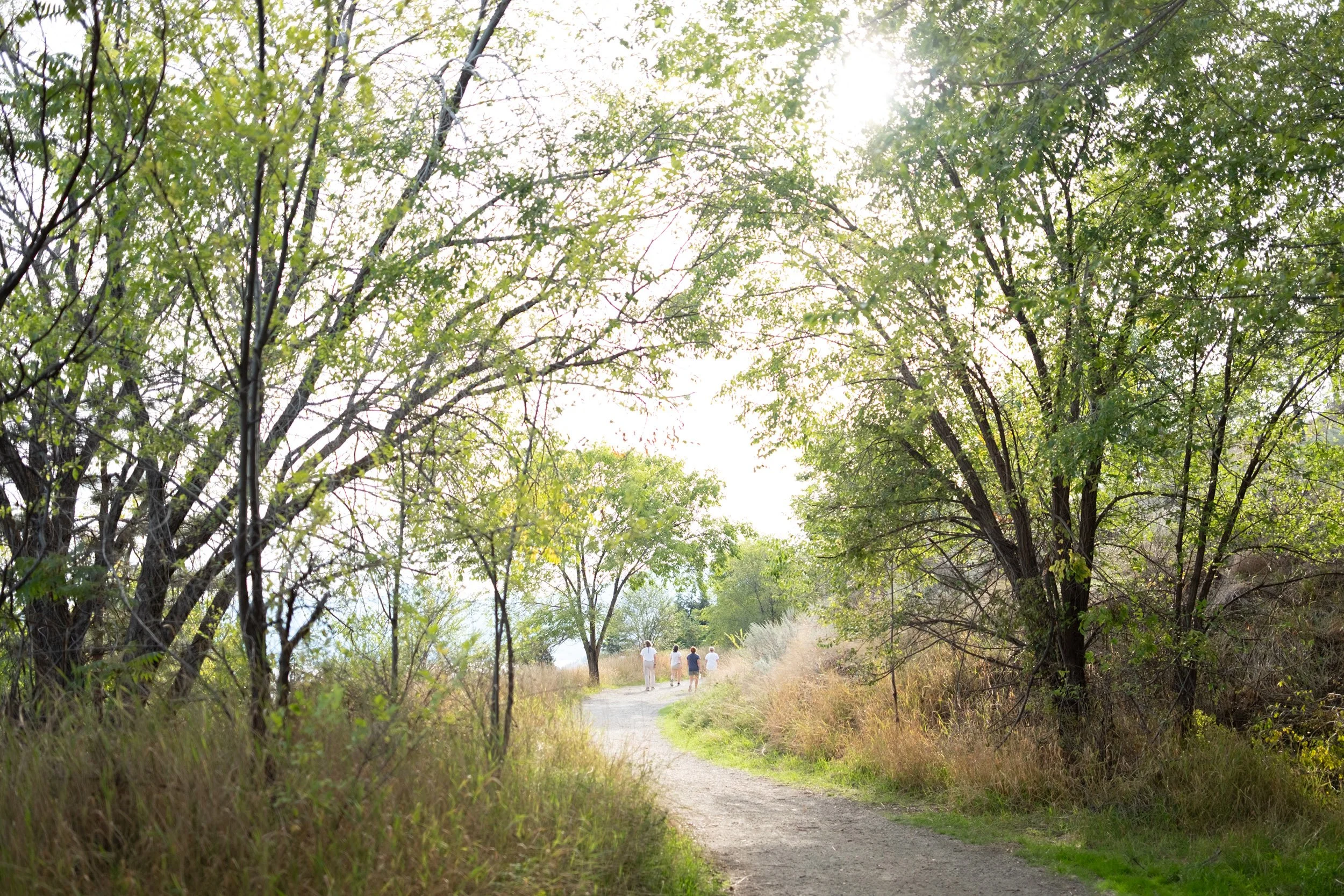 Hiking in the Bellavista area of Vernon, BC, September 2026