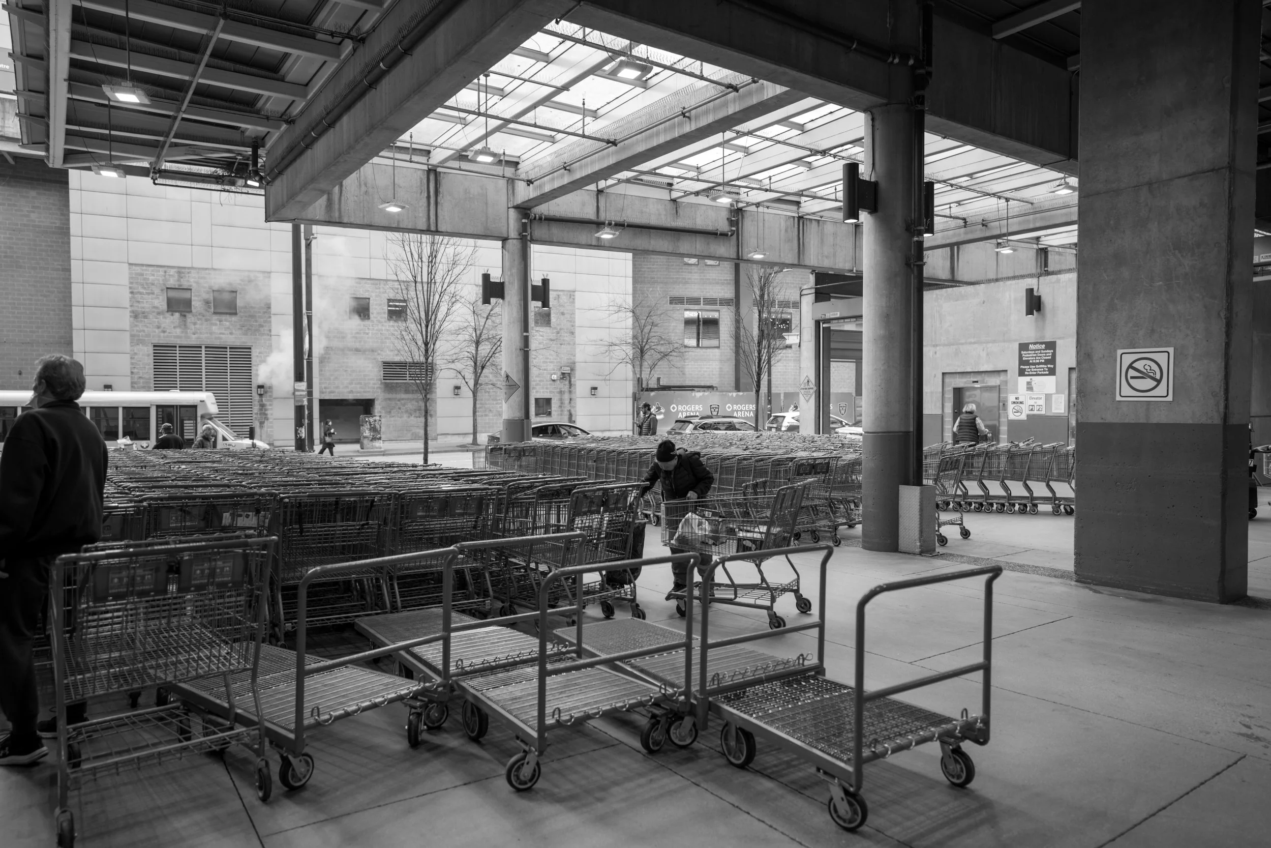 Shopping cart outside Costco in Vancouver. Sample image from a Sony FE 24mm f/1.4 GM and Sony A7 V.