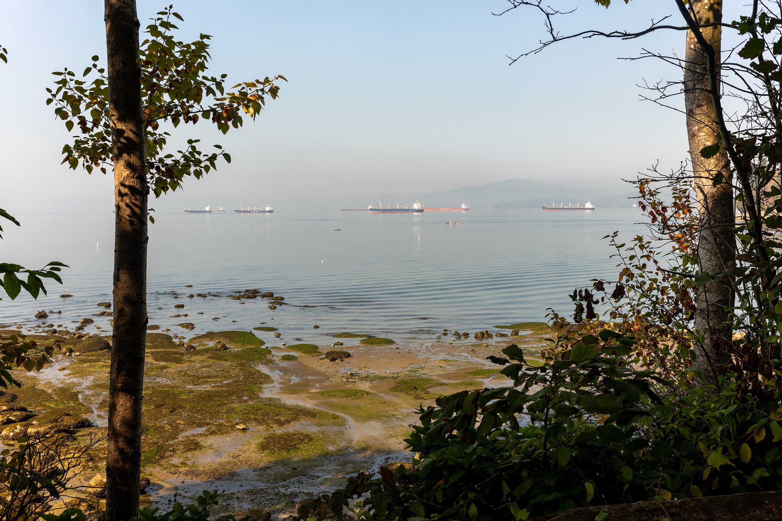 Second Beach, September 22, 2026