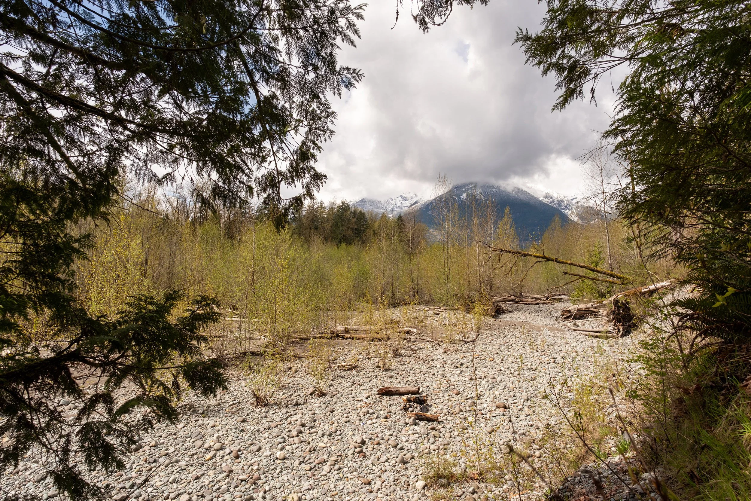 Dry riverbed at Mamquam River in Squamish, BC. Sample image from a Sigma 15mm f/1.4 DC Contemporary and Fujifilm X-E5.