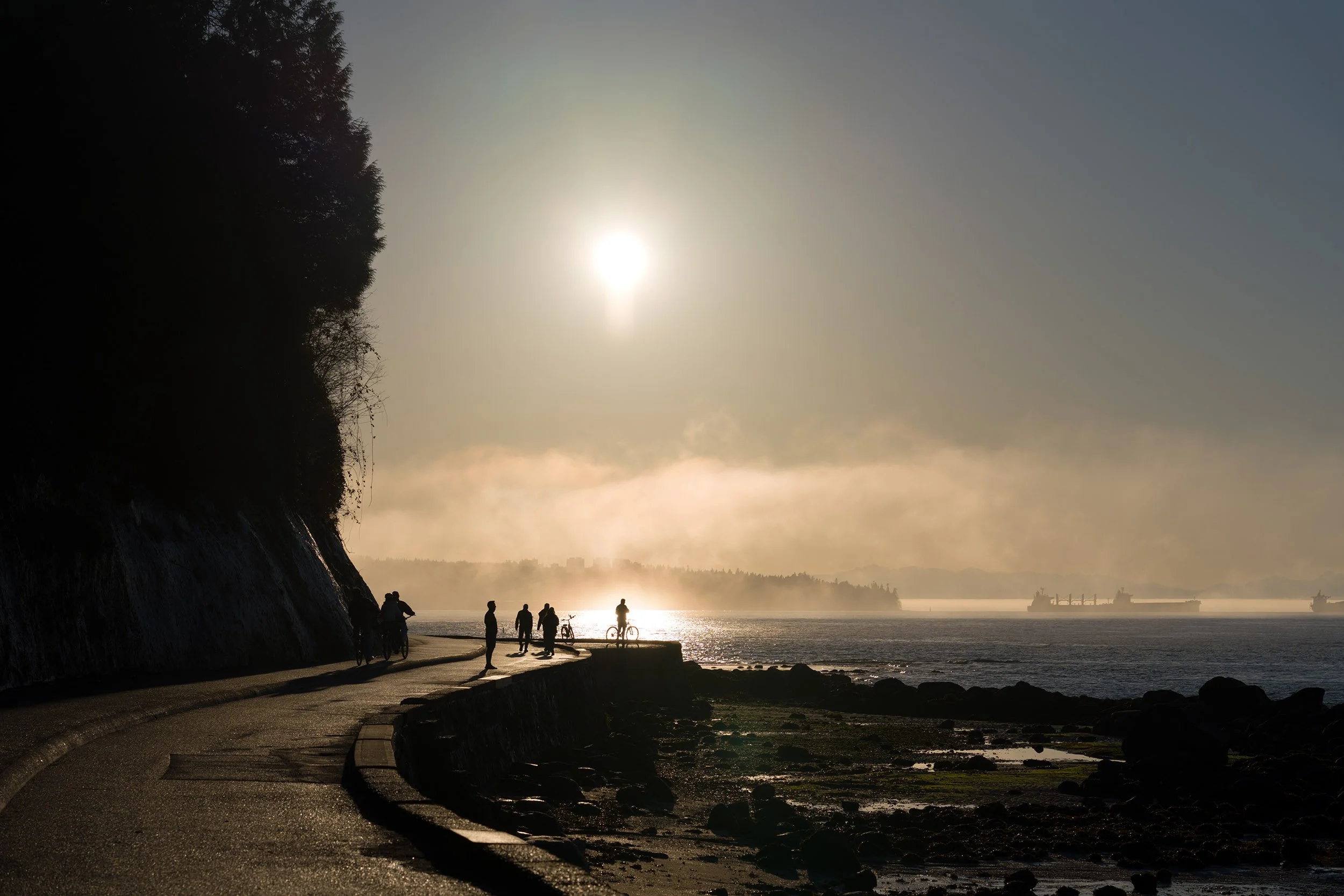 Sun and fog at Stanley Park Seawall, February 5, 2026