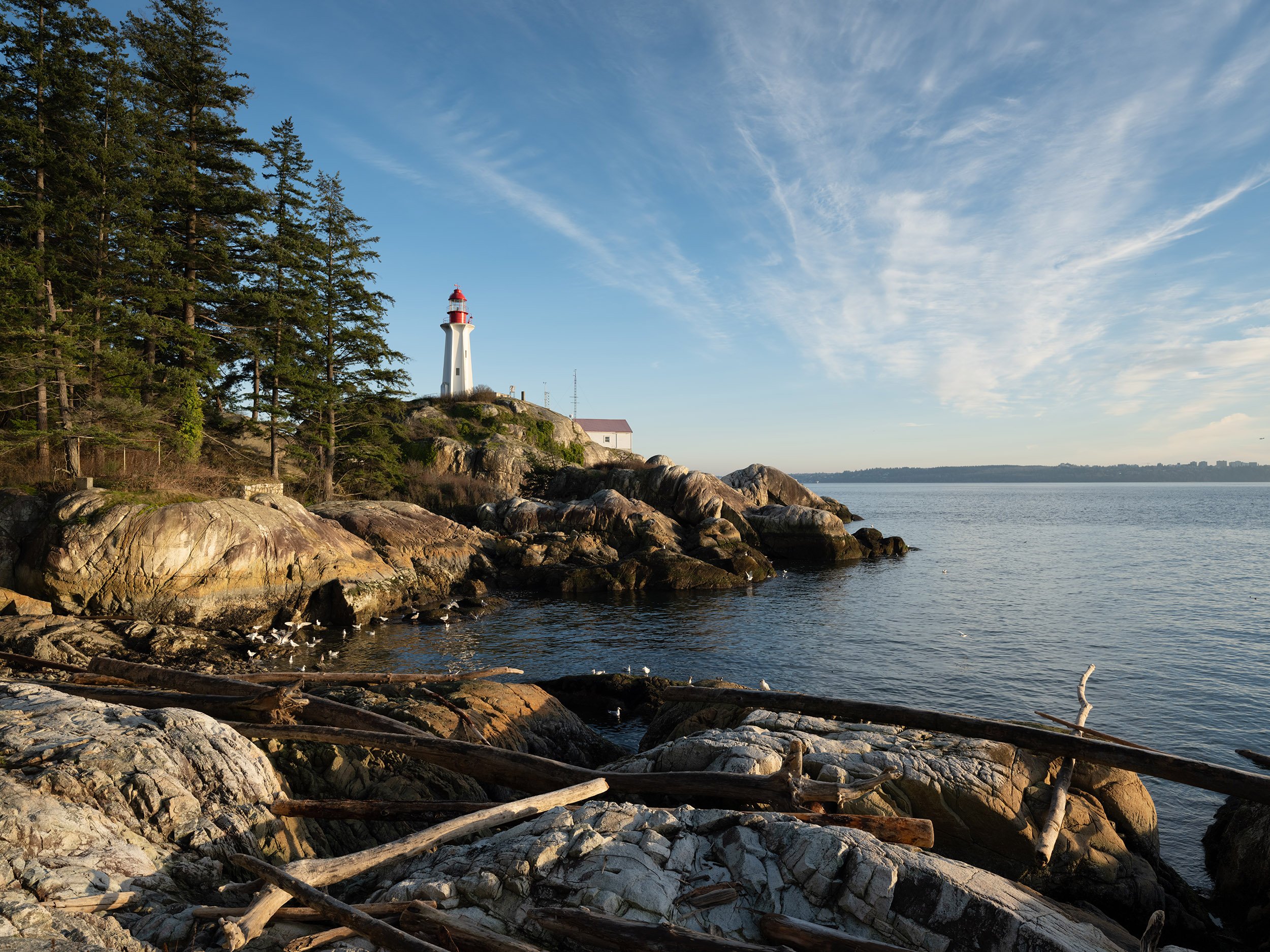 Lighthouse Park in West Vancouver, BC, Canada. Sample image from a Fujifilm GFX 100S II and GF 20-35mm f/4 R WR.