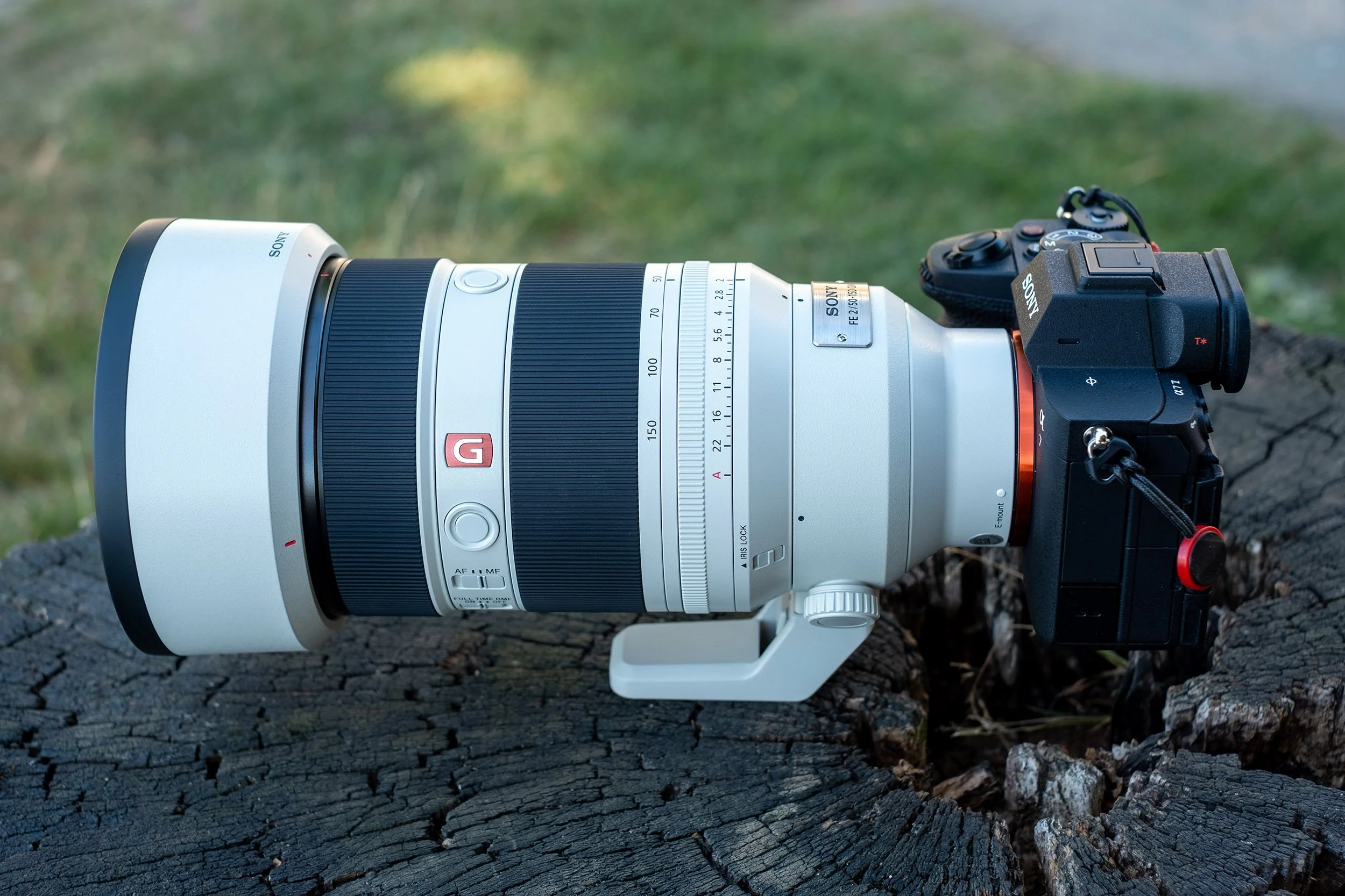 Sony FE 50-150mm f/2 GM and Sony A7V