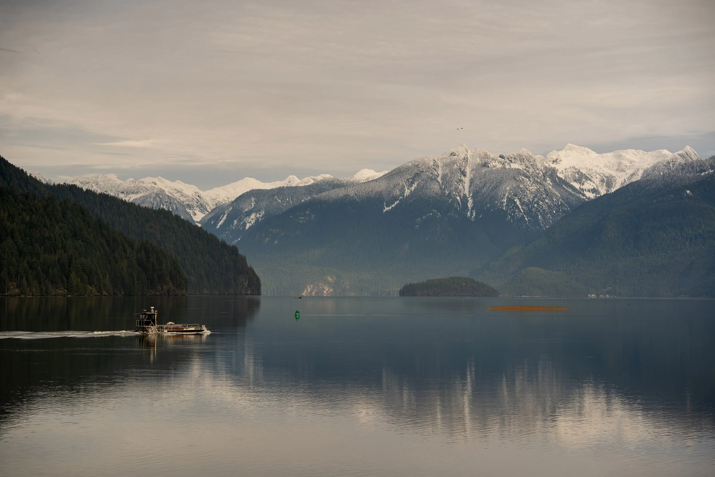 Pitt Addington Marsh, December 29, 2025