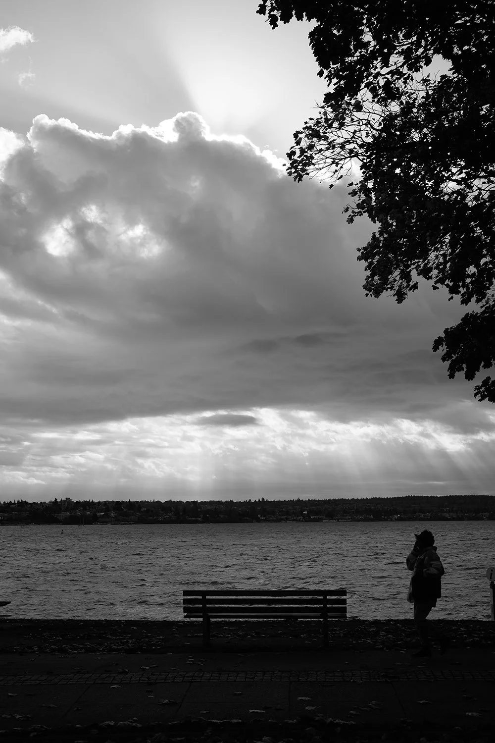 Stanley Park Seawall on a cloudy day. Sample image from a Voigtländer Nokton 50mm f/1.2 Aspherical and Nikon Zf