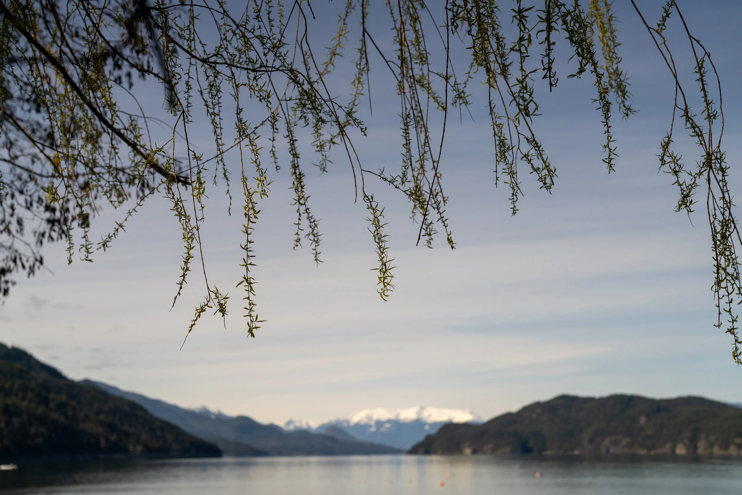 Harrison Lake at Harrison Hot Springs. Sample image from a Sony A7R V and Sony FE 50mm f/1.4 GM.