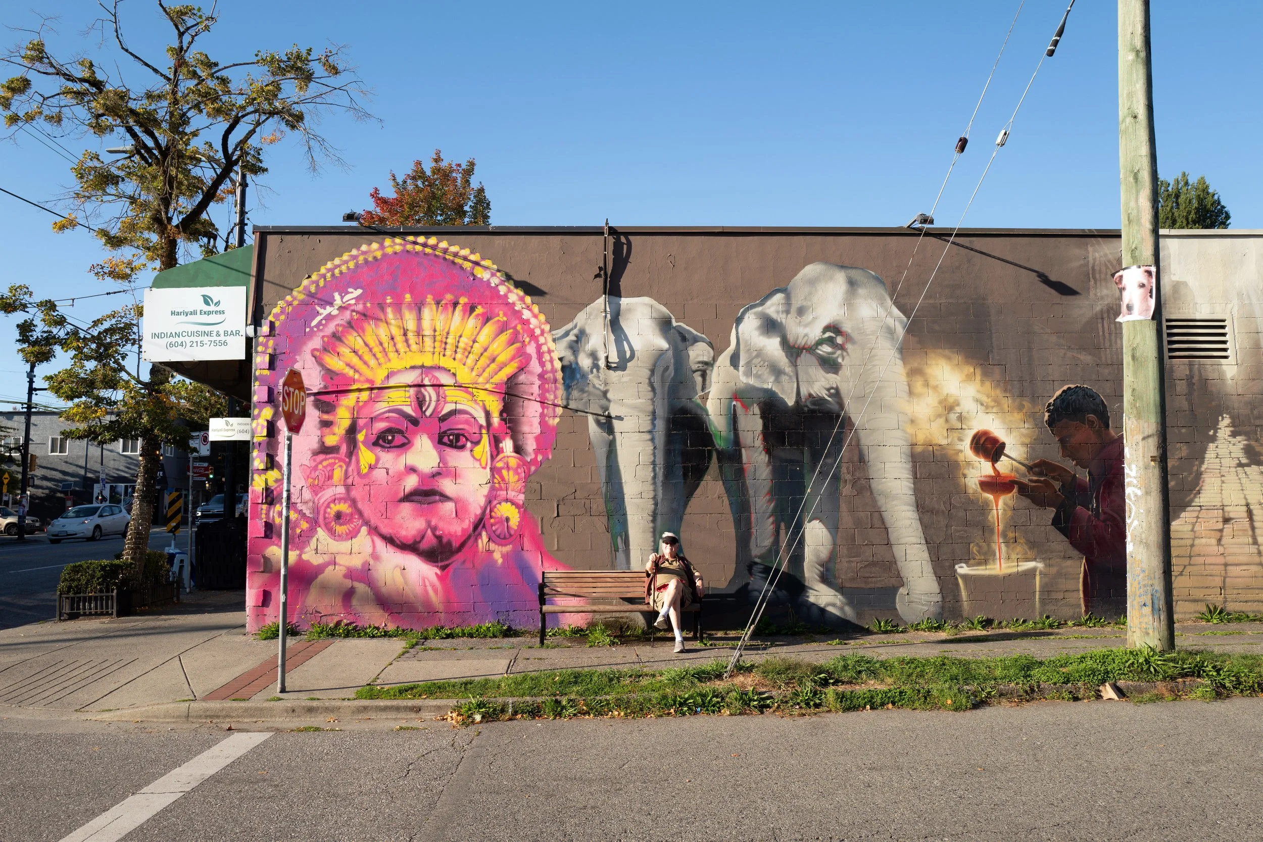 Elephant mural along Commercial Drive in Vancouver. Sample image from a Leica Q Typ 116