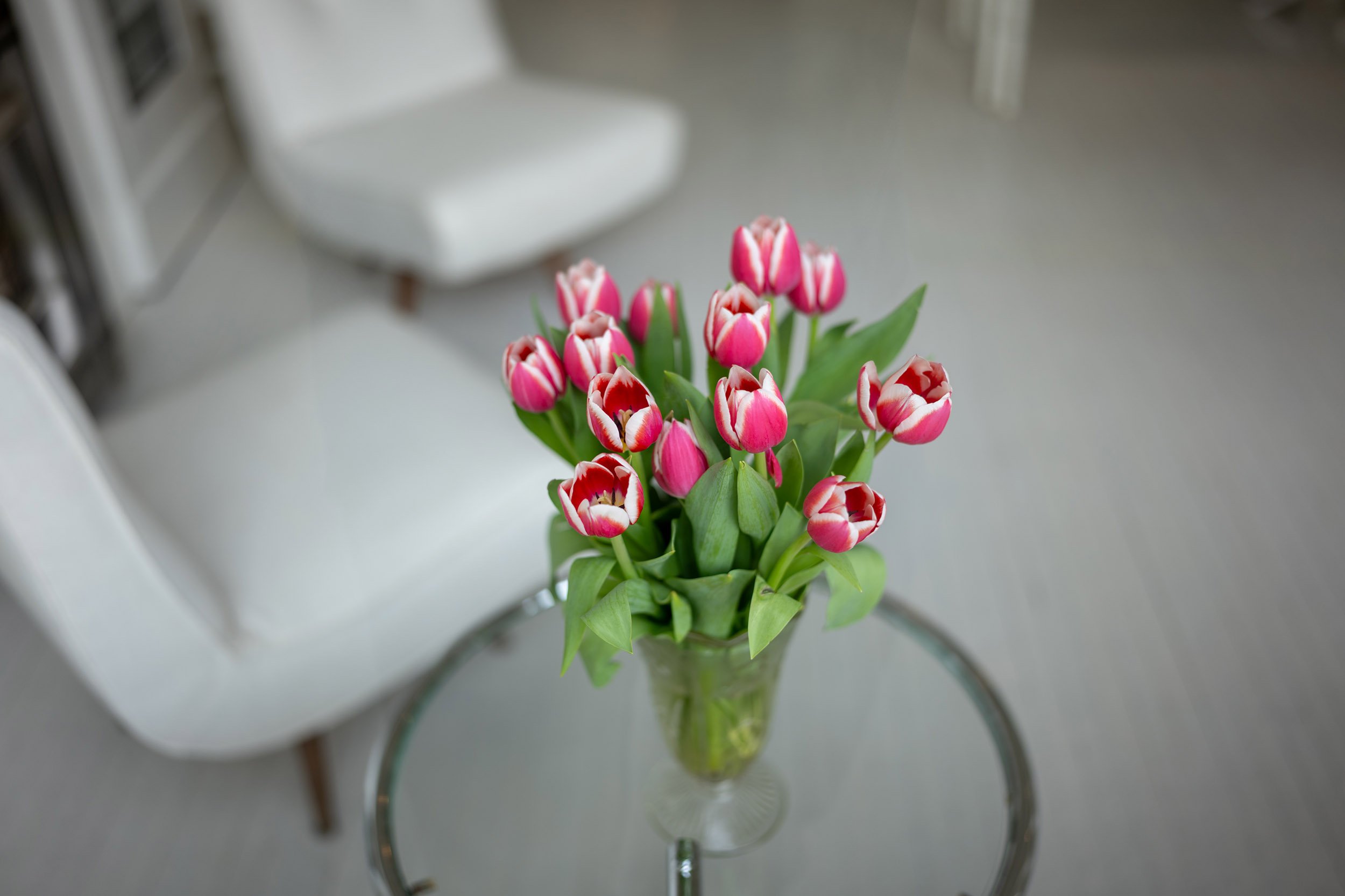 Tulips in a West 4th Ave. window display in Vancouver. Sample image from a Sigma 35mm f/1.4 DG II Art and Leica SL2-S..