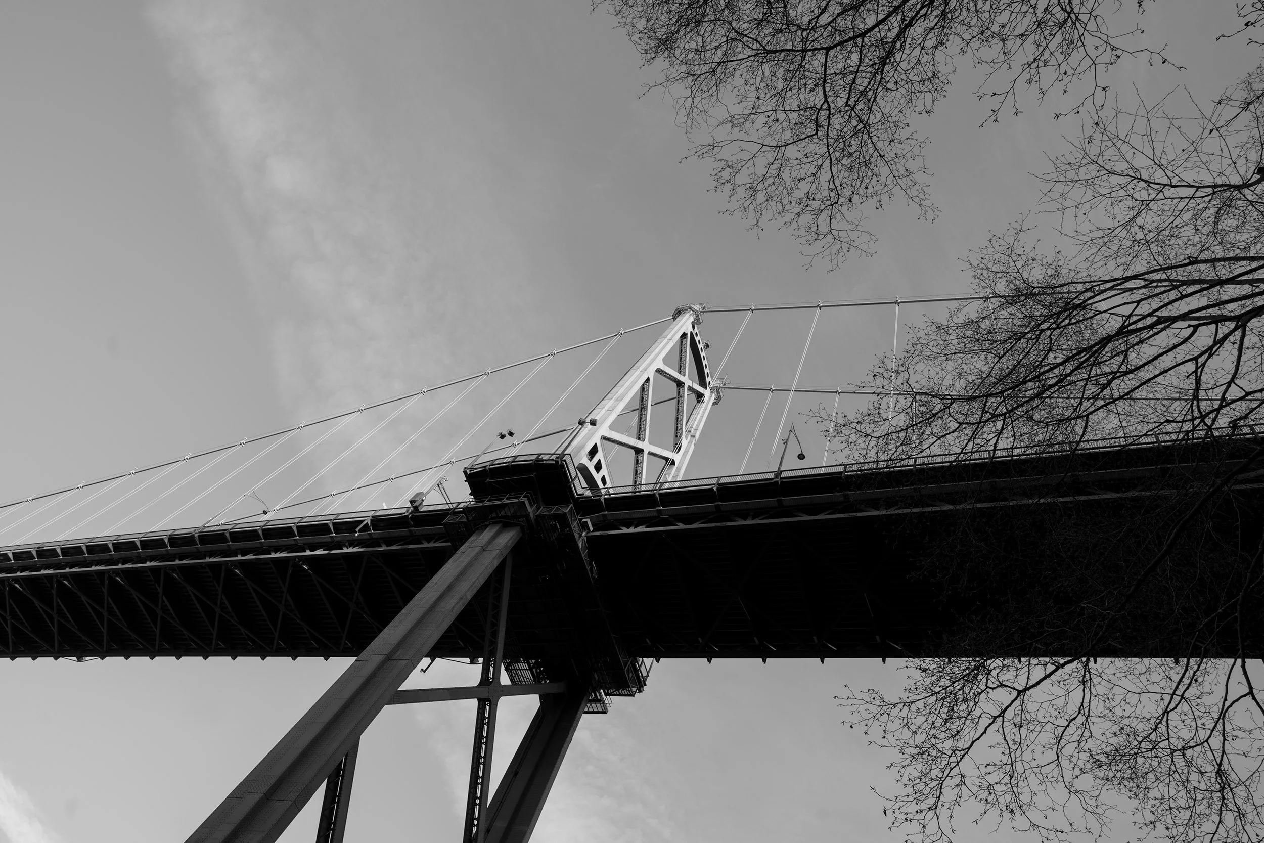 Lions Gate Bridge, Vancouver. Sample image from a Sony A7V and Sony FE 24mm f/1.4 GM.