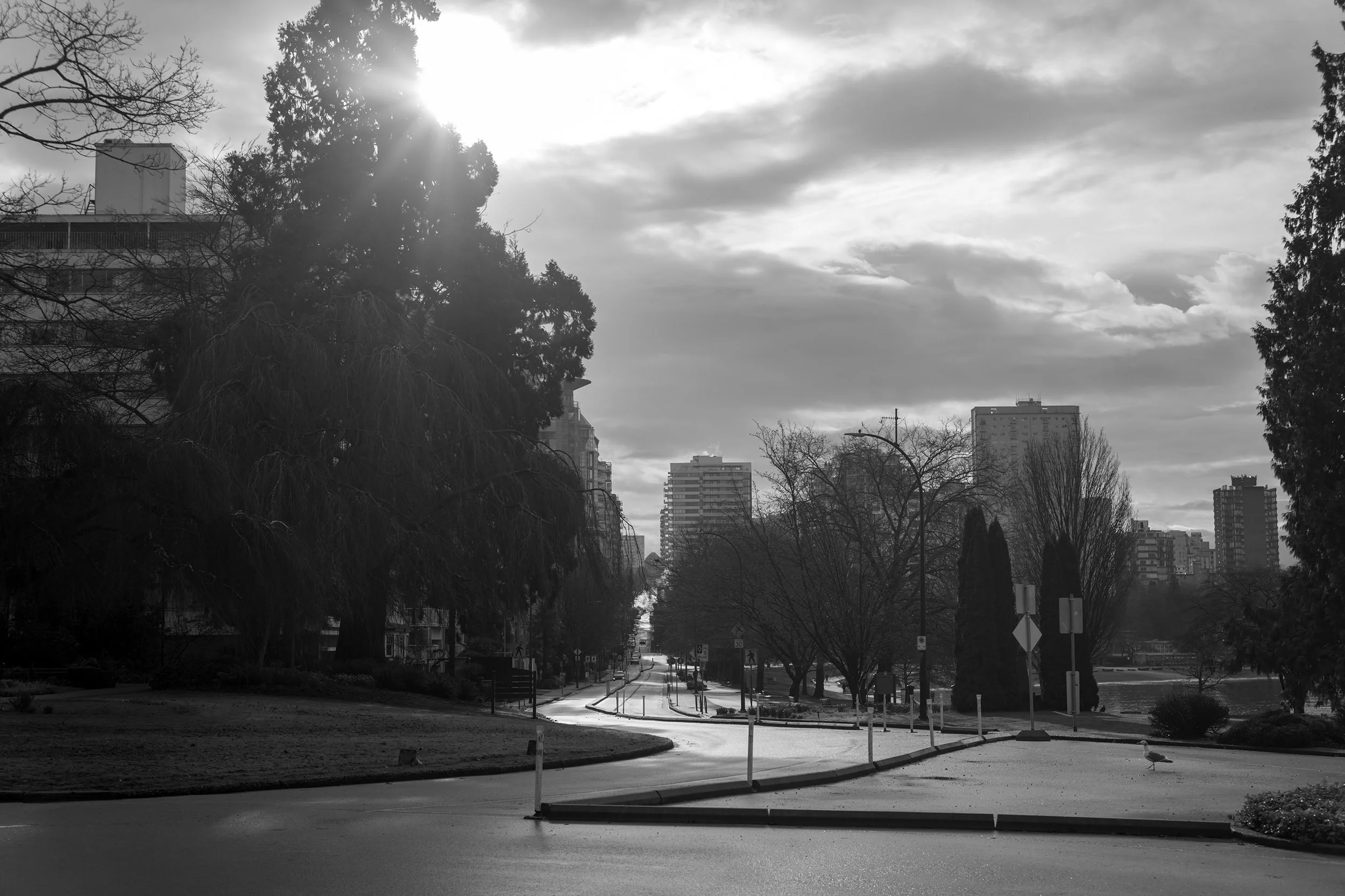 Quiet day in the Vancouver West End, February 2026