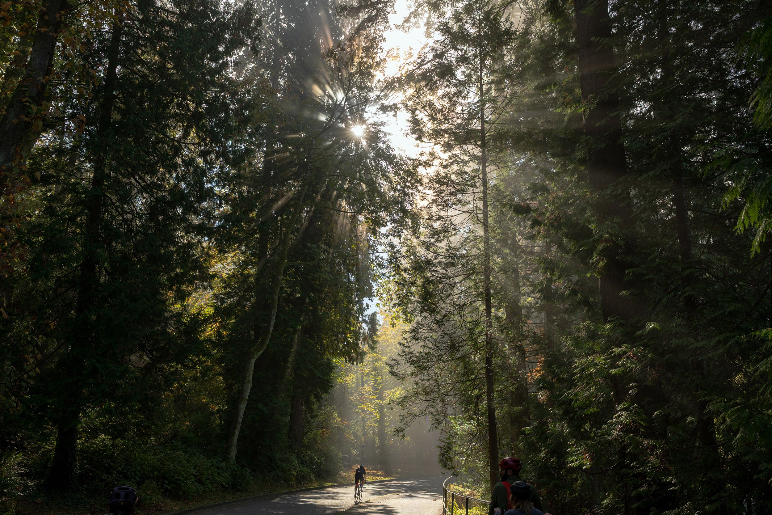 Road biking in Stanley Park, Vancouver, October 2026
