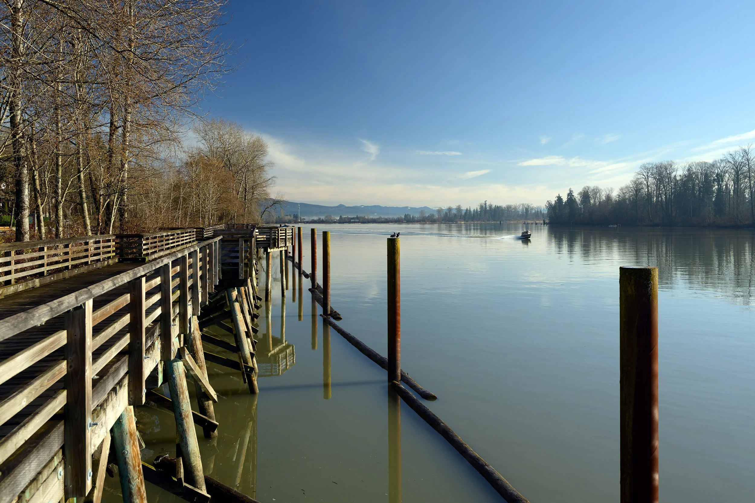 Fraser River, January 16, 2016