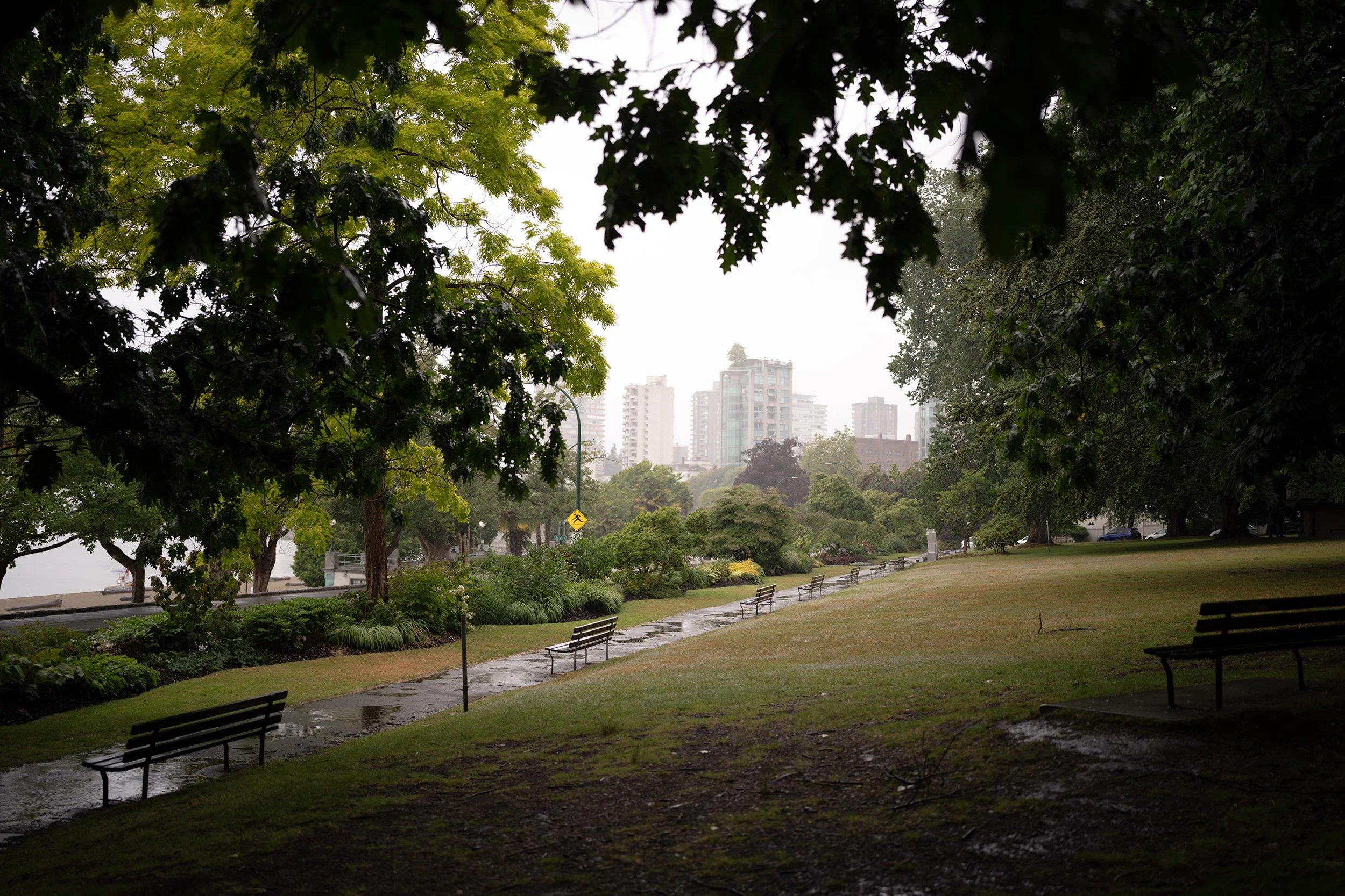A rainy summer day at Alexandra Park in Vancouver. Sigma 35mm f/1.4 DG II Art (Sony E-Mount) on a Sony A7V.