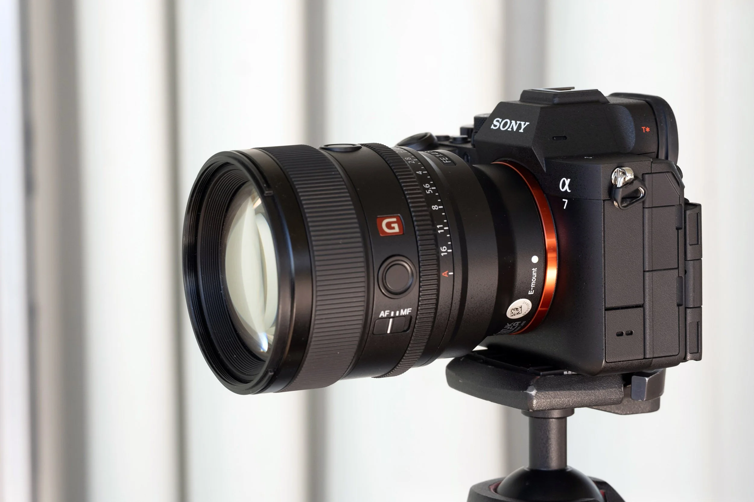 The Sony A7 V and Sony FE 85mm f/1.4 GM II
