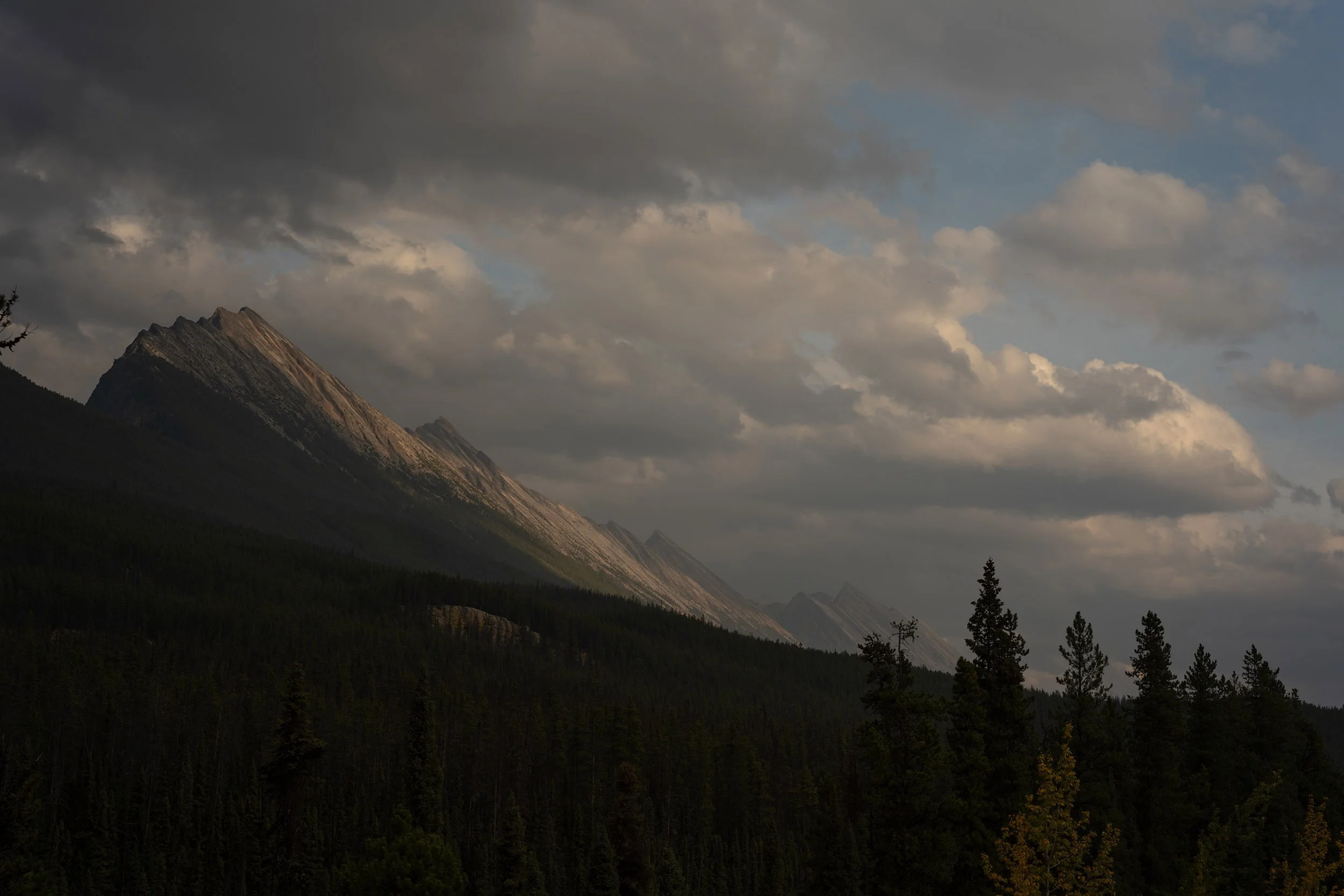 Shackle Peak, Alberta.