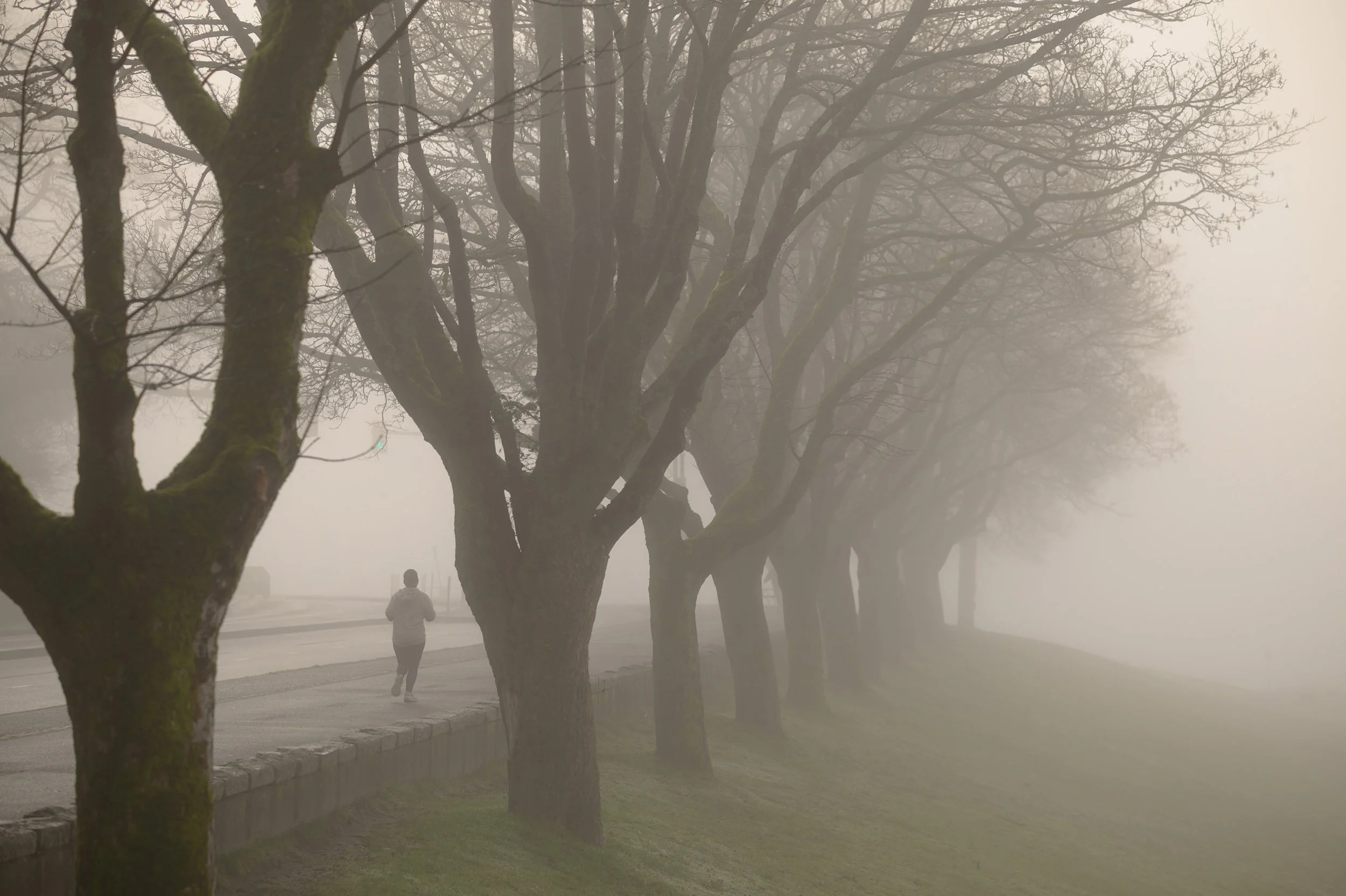 A woman runs along Beach Drive in Vancouver on a foggy day in January. Sample image from a Viltrox 56mm f/1.2 Z (Nikon Z-Mount) and Nikon Z8.