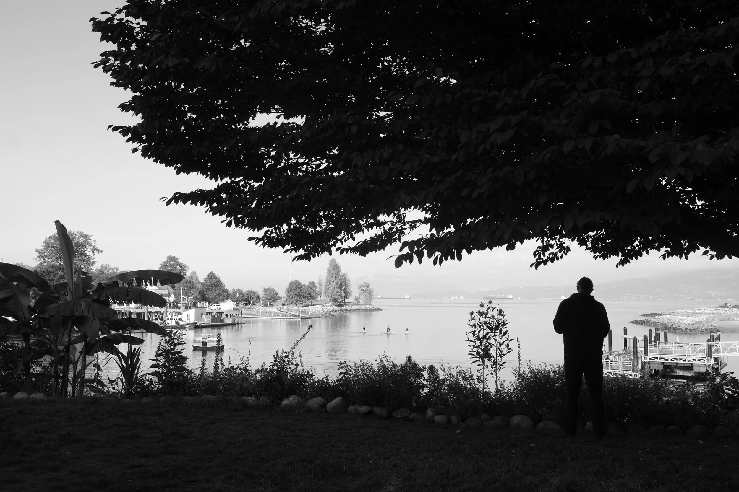 A man is taking in the view of English Bay in Vancouver on a beautiful October day. 2026.