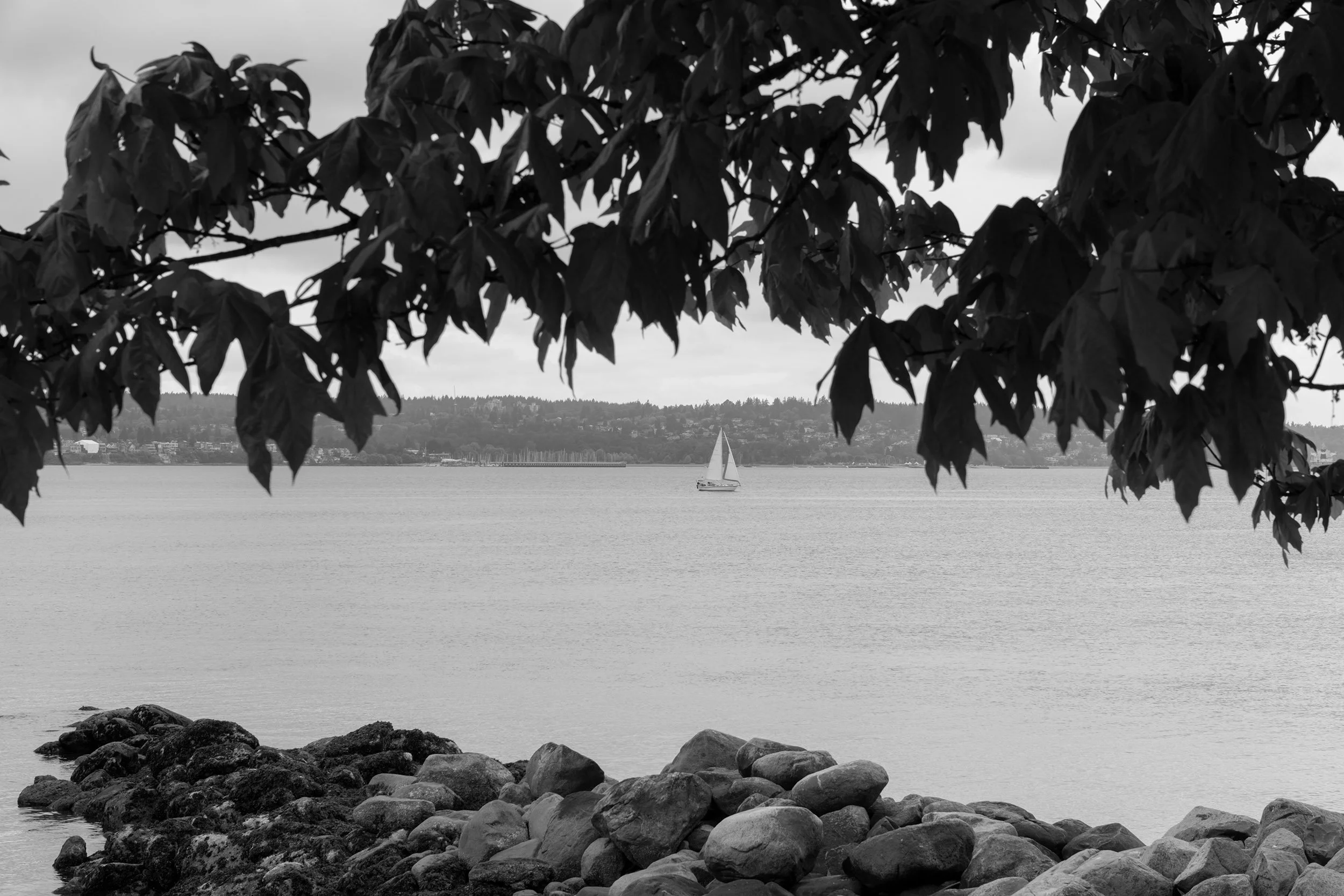 A sailboat at English Bay in Vancouver. Sample image from a Fujifilm X-T50 and XF 16-50mm f/2.8 R LM WR.