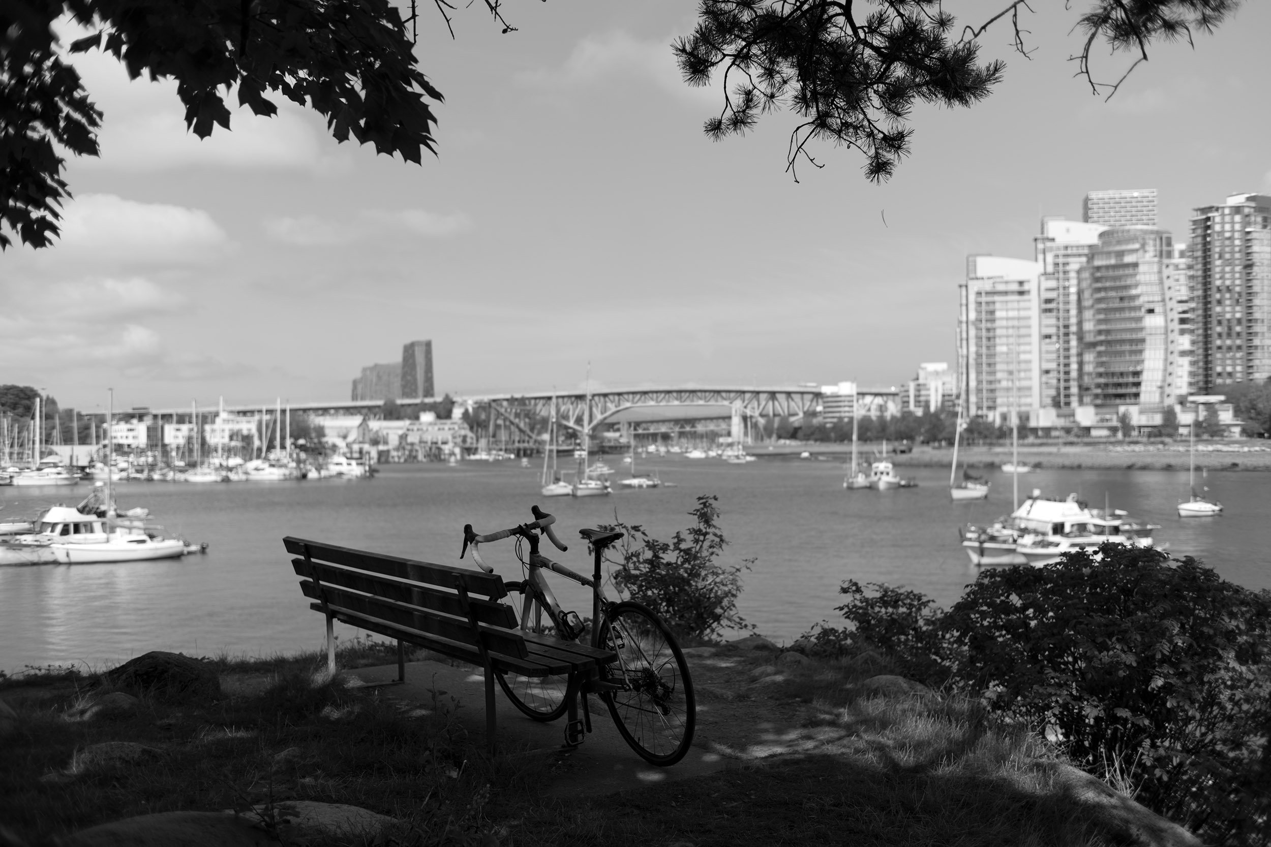 Cycling False Creek. Sample image from a Voigtländer Nokton Classic 35mm f/1.4 II MC and Leica SL2-S.