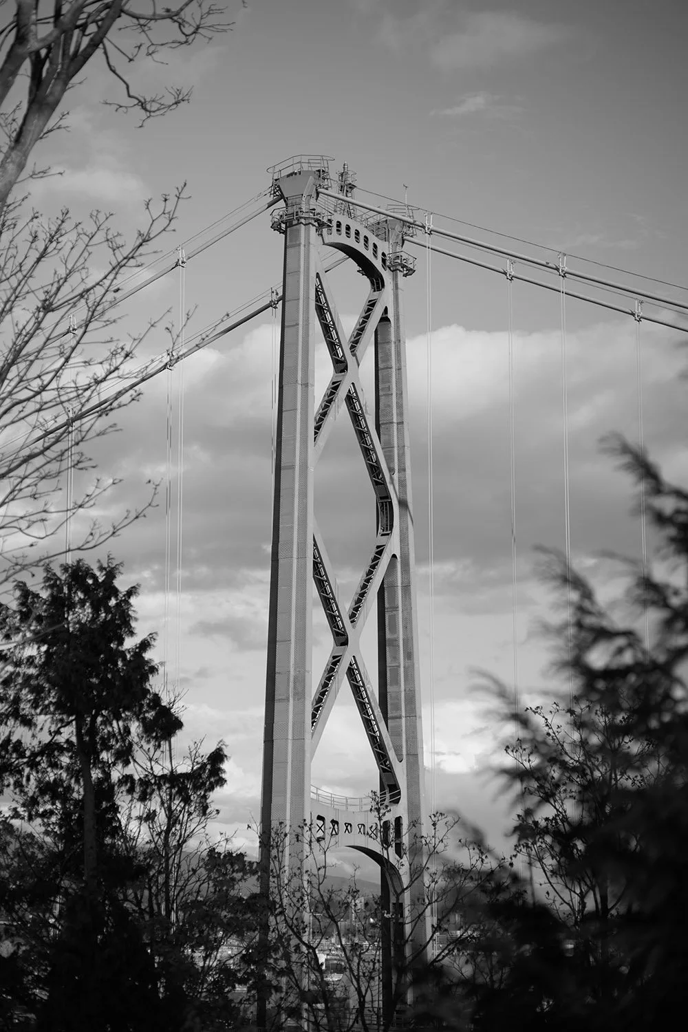 Lions Gate Bridge, Vancouver. Sample image from a Nikon Zf and Voigtländer Ultron 75mm f/1.9 MC.