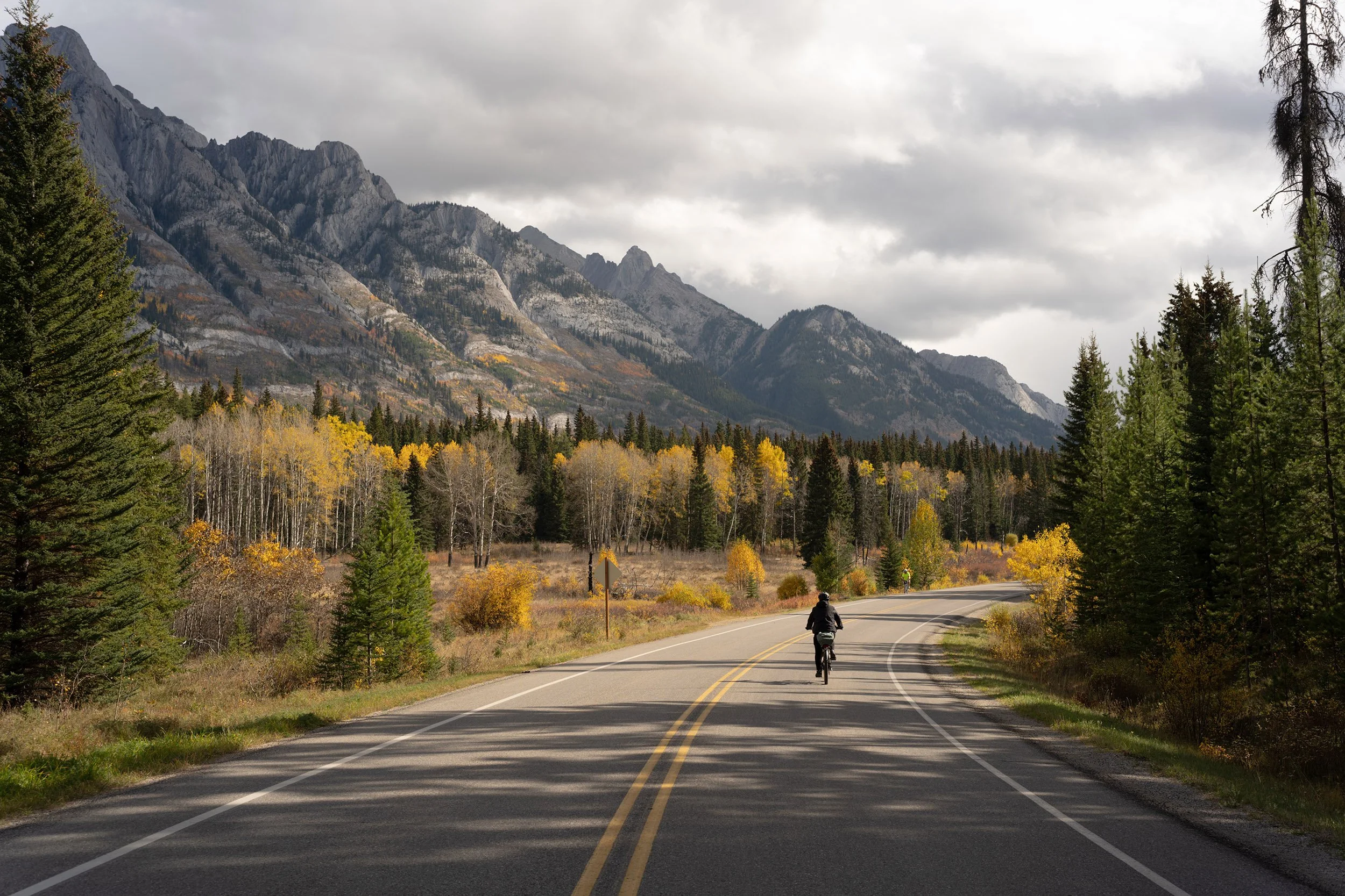 A woman cycling along the Bow Valley Parkway in Alberta
