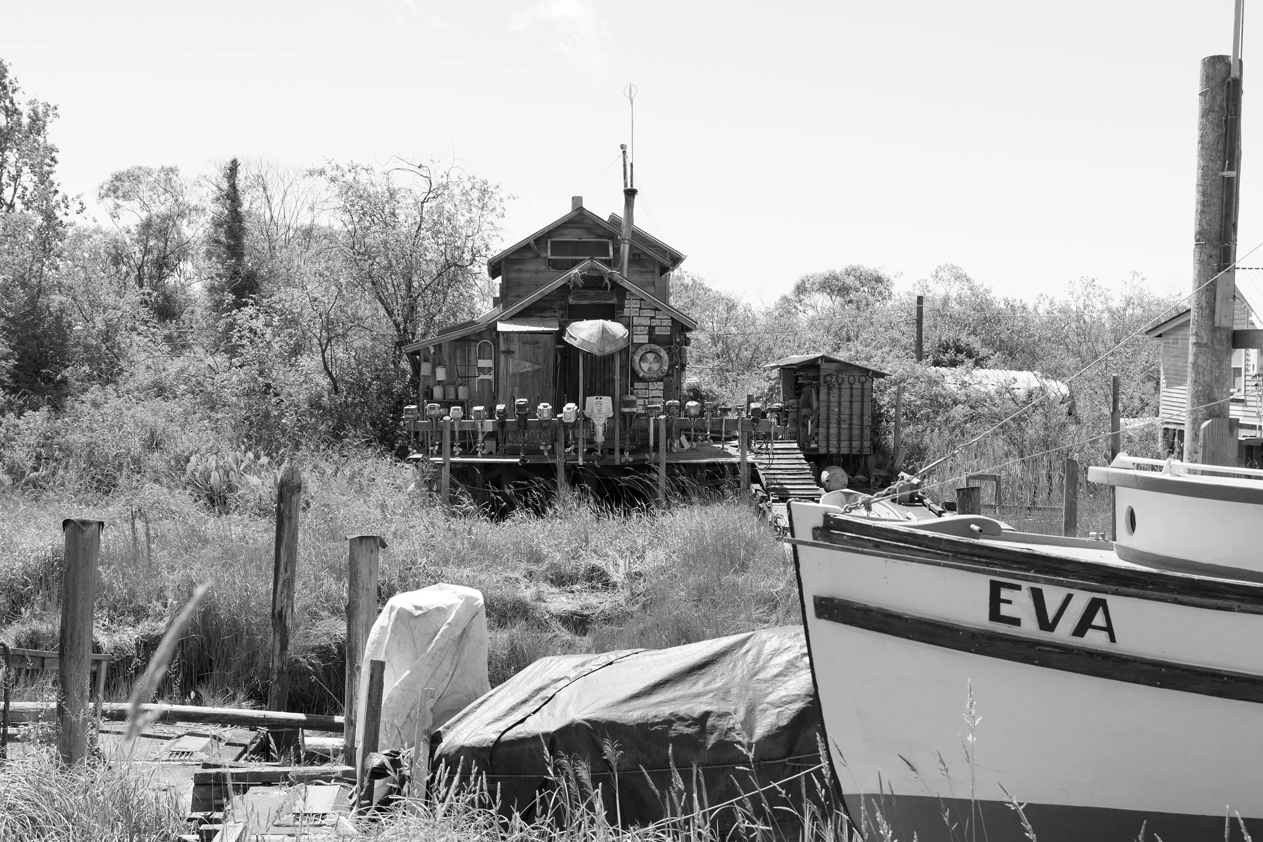 Finn Slough cabin, BC. Sample image from a Sony FE 20-70mm f/4 G and Sony A7 V.