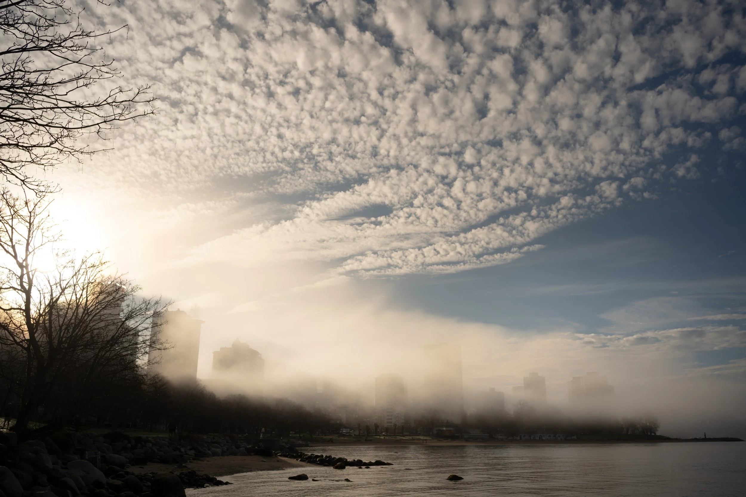 Morning fog in the West End of Vancouver. Sample image from a Voigtländer Nokton Vintage Line 28mm f/1.5 (M-Mount) and Leica SL2-S.